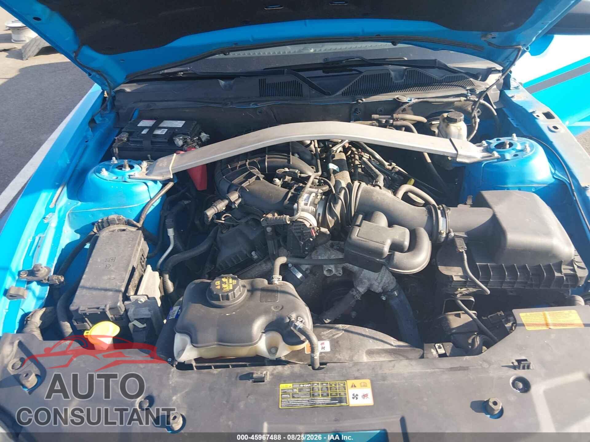 FORD MUSTANG 2011 - 1ZVBP8EM4B5144782