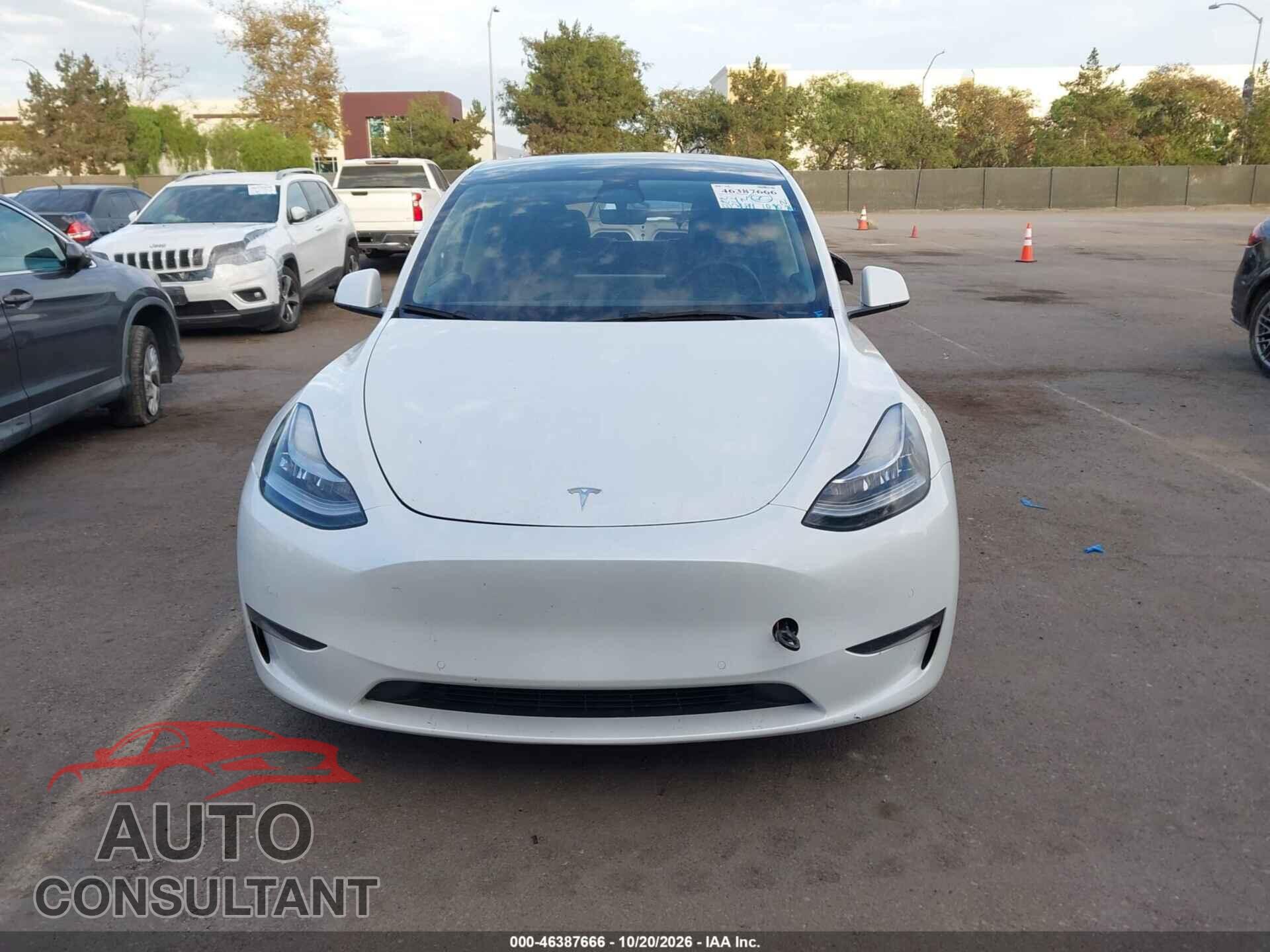 TESLA MODEL Y 2022 - 7SAYGDEE5NF504310