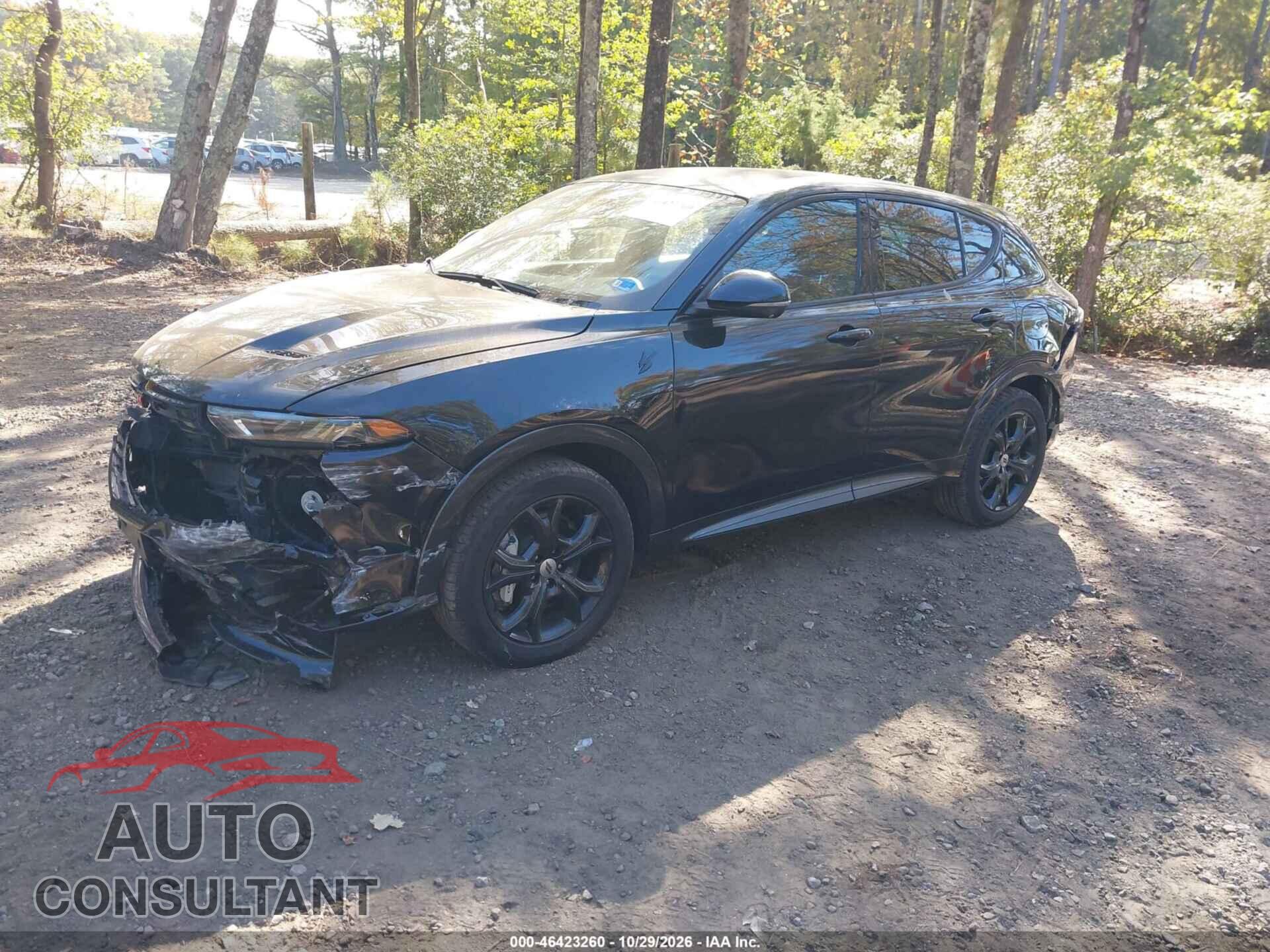 DODGE HORNET 2024 - ZACPDFDW2R3A20835