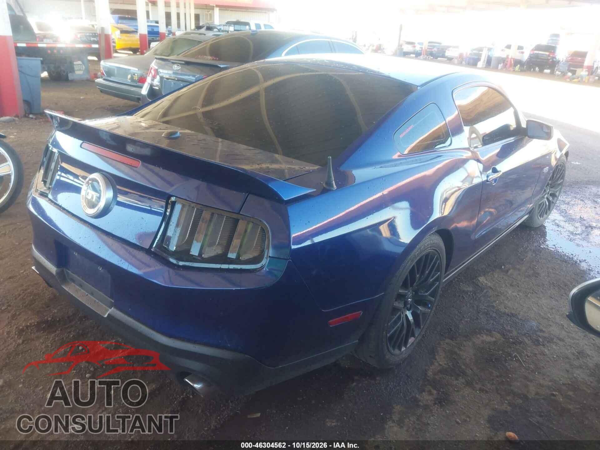 FORD MUSTANG 2011 - 1ZVBP8CF5B5136677