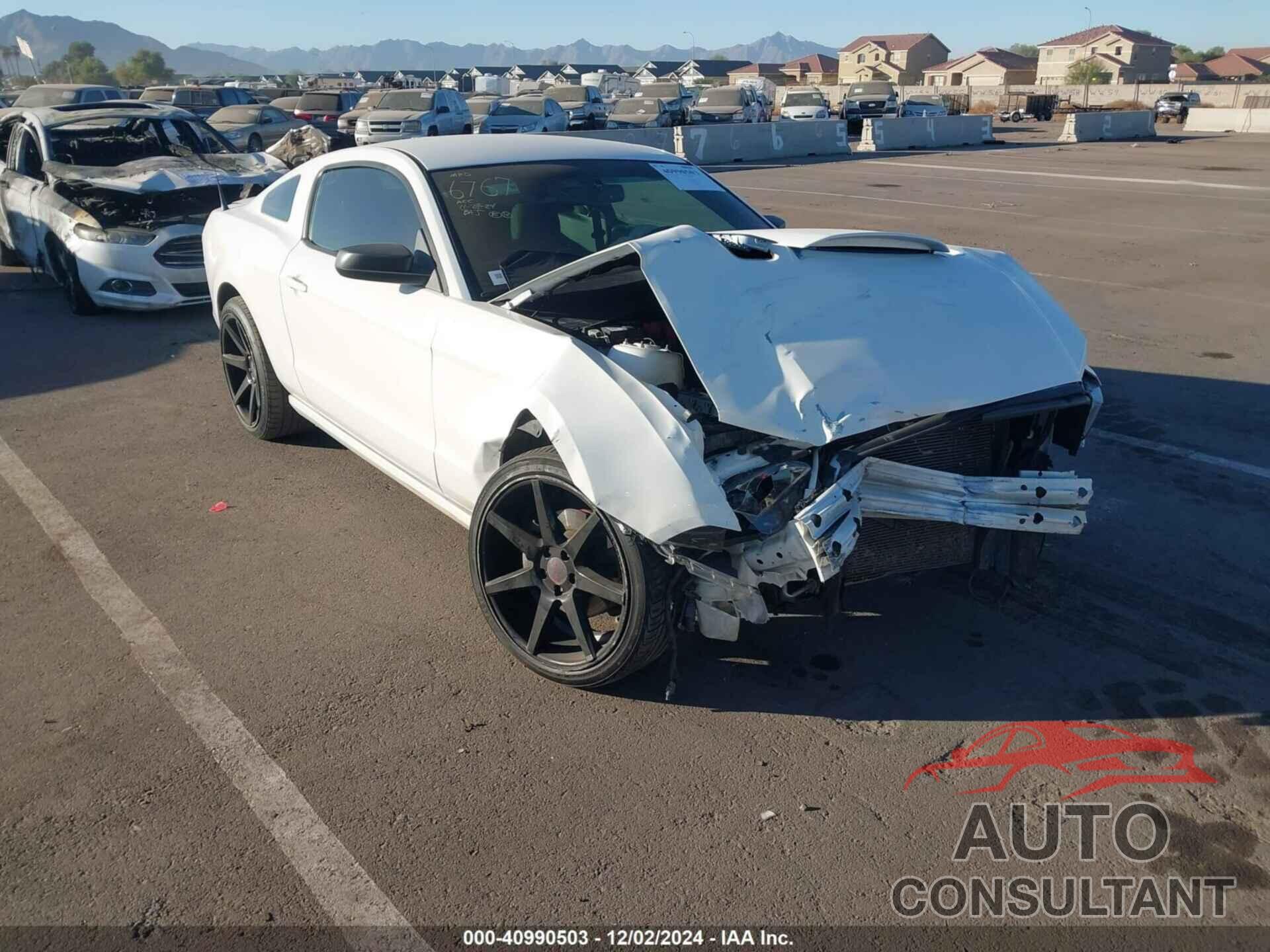 FORD MUSTANG 2013 - 1ZVBP8AM5D5269704
