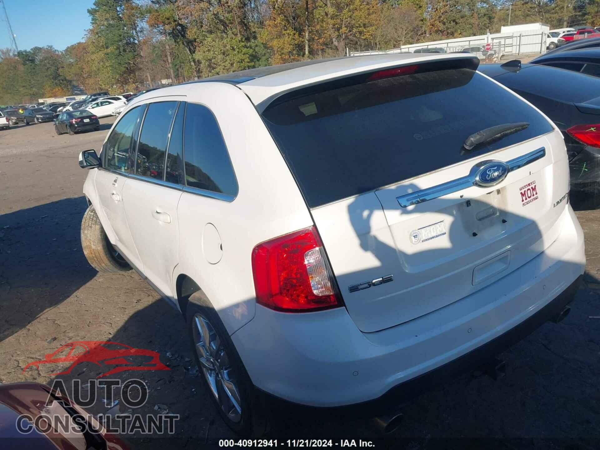 FORD EDGE 2013 - 2FMDK3KCXDBB28301