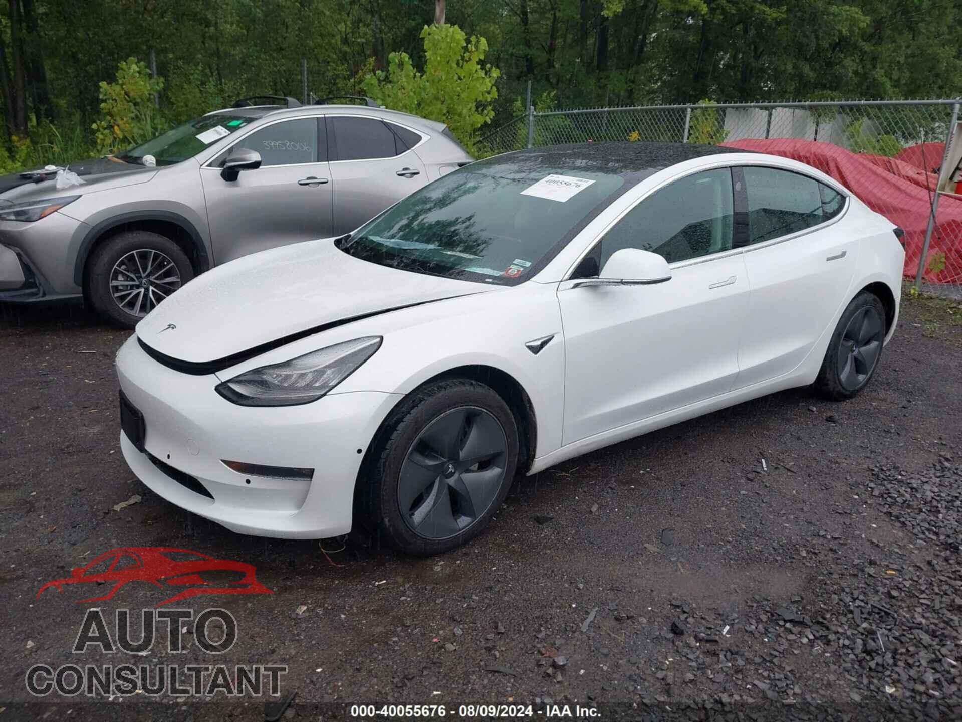 TESLA MODEL 3 2019 - 5YJ3E1EB8KF493221