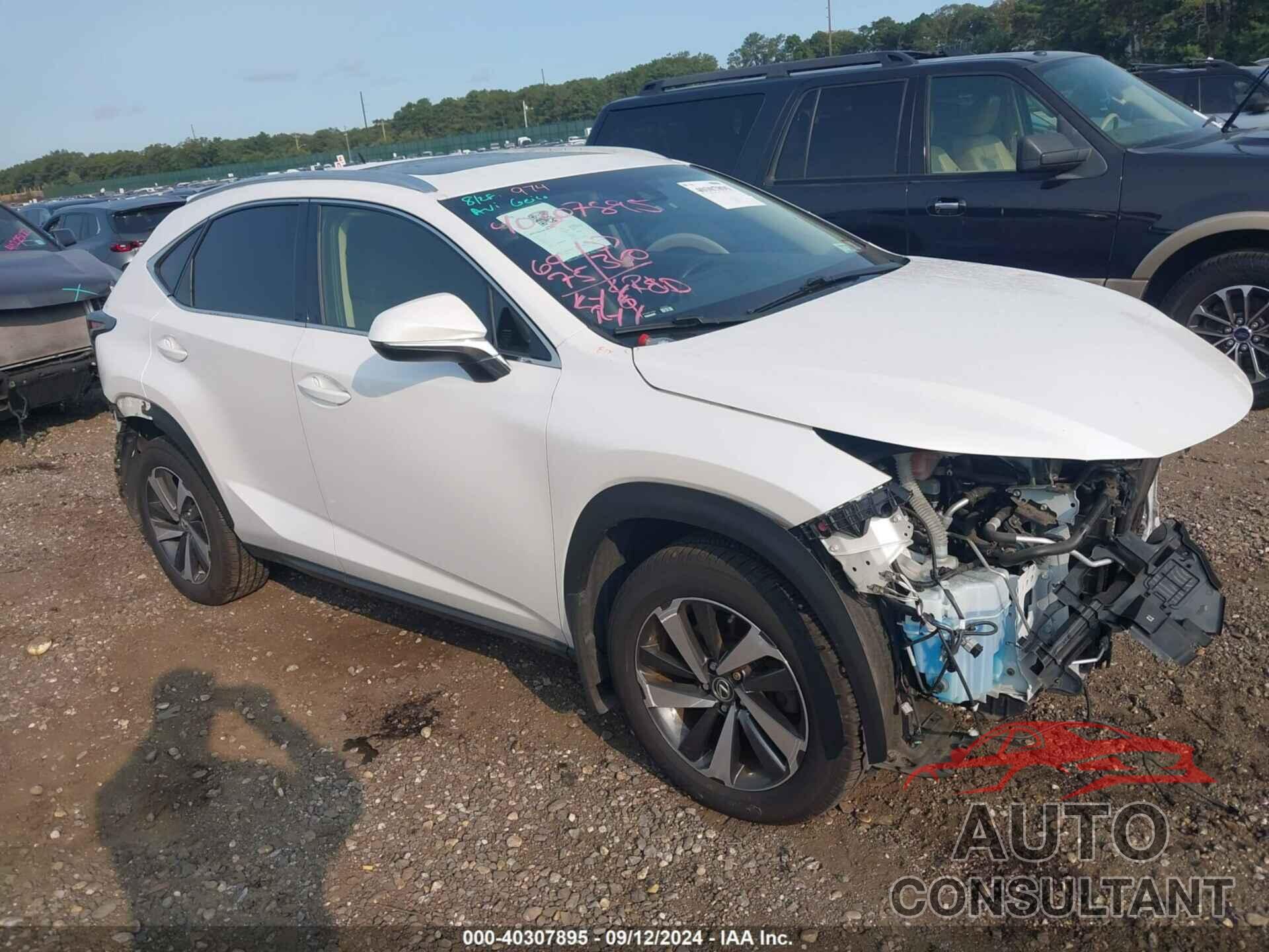 LEXUS NX 300 2019 - JTJBARBZ5K2188041