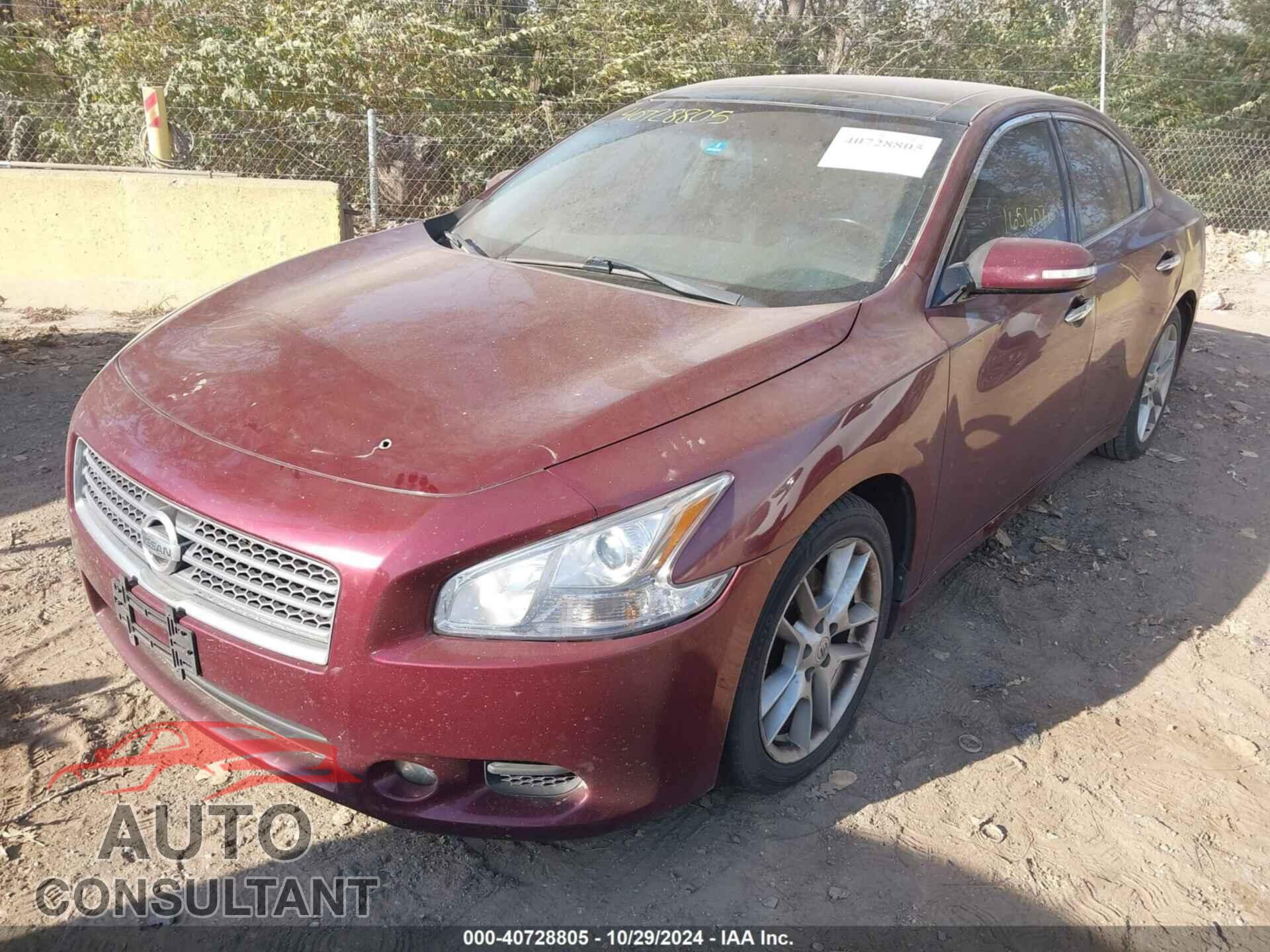 NISSAN MAXIMA 2011 - 1N4AA5AP7BC800358