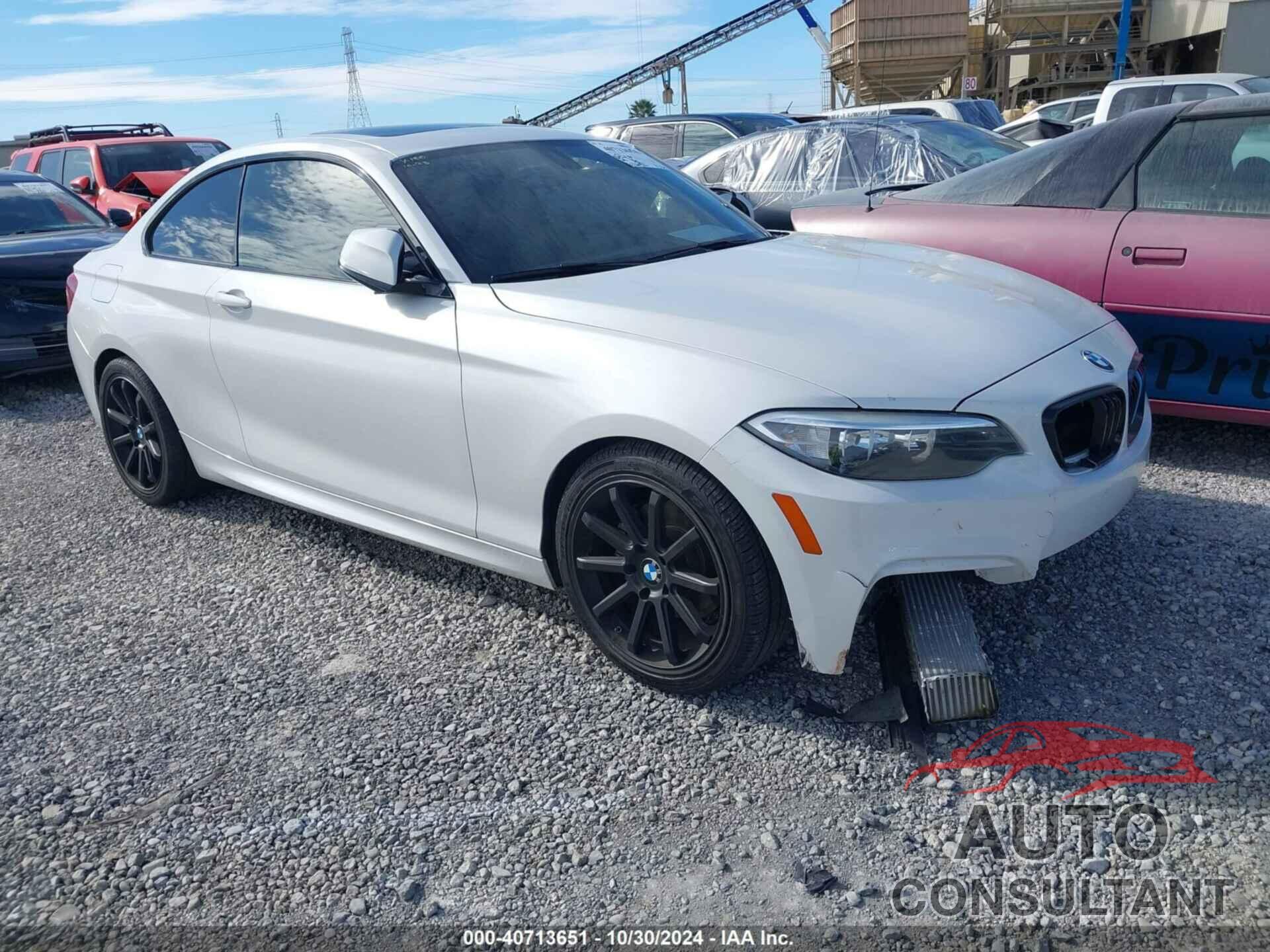 BMW 228I 2015 - WBA1F9C53FVW98482
