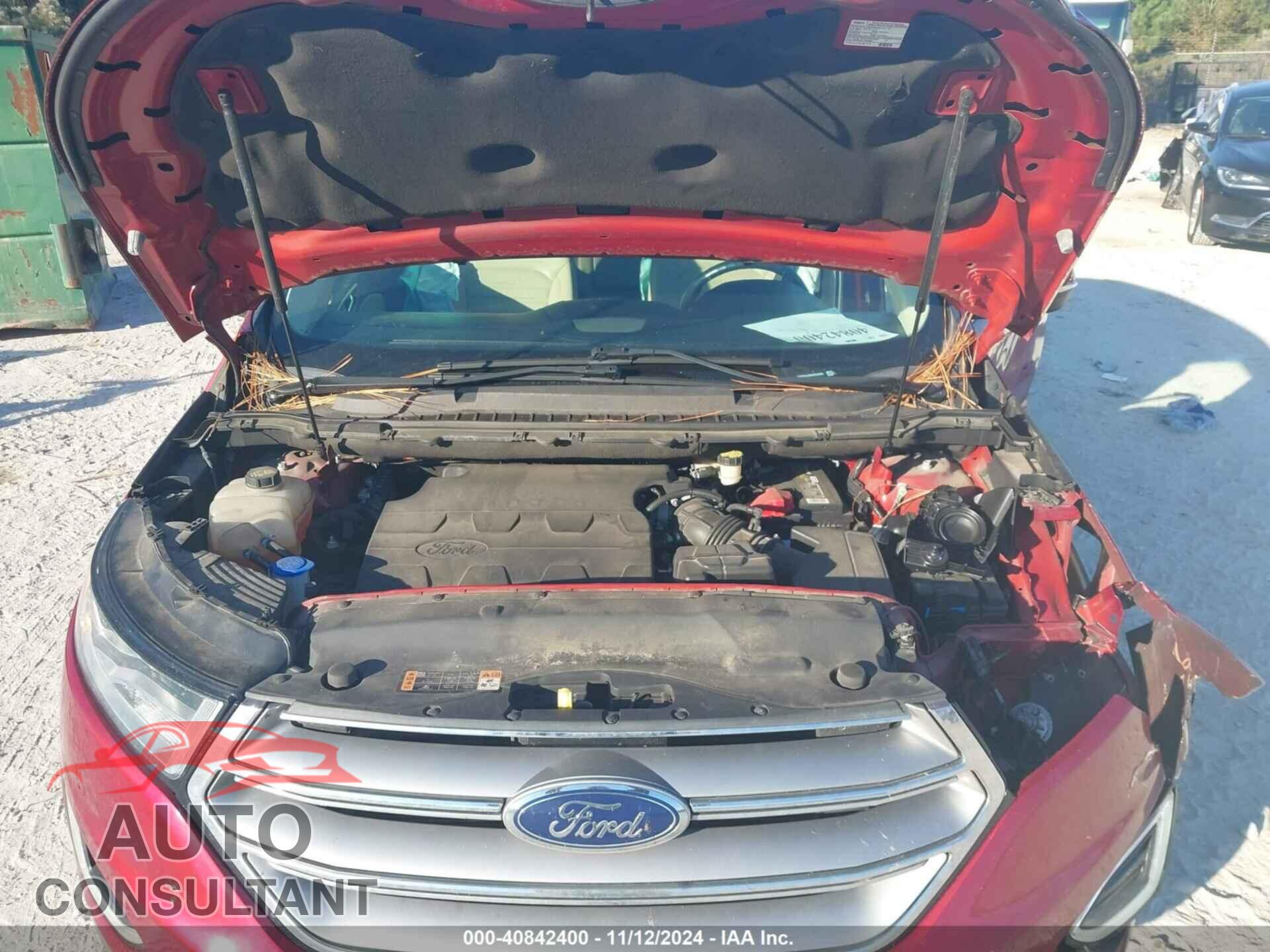 FORD EDGE 2017 - 2FMPK4J89HBC04855