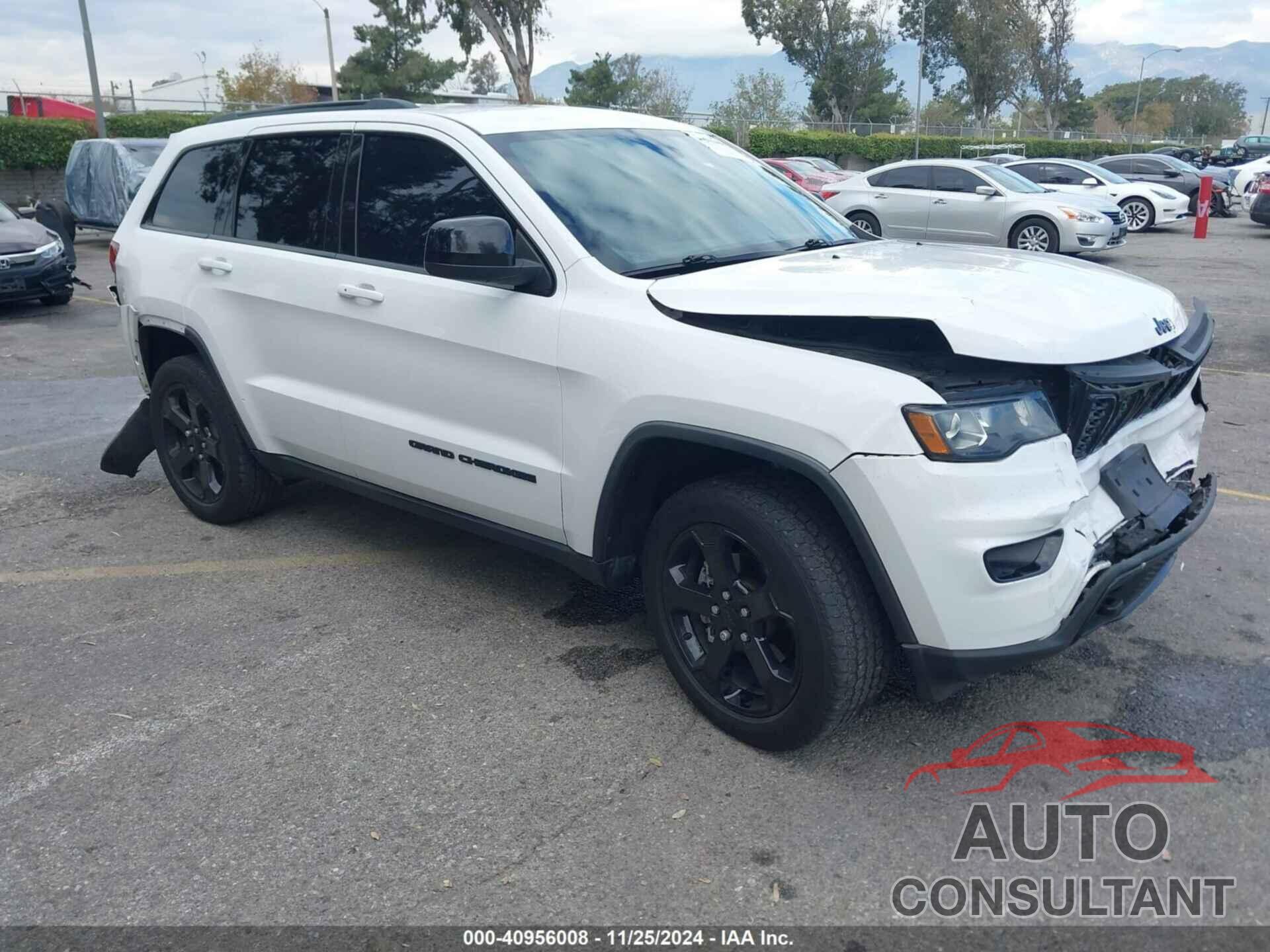 JEEP GRAND CHEROKEE 2019 - 1C4RJFAG5KC620928