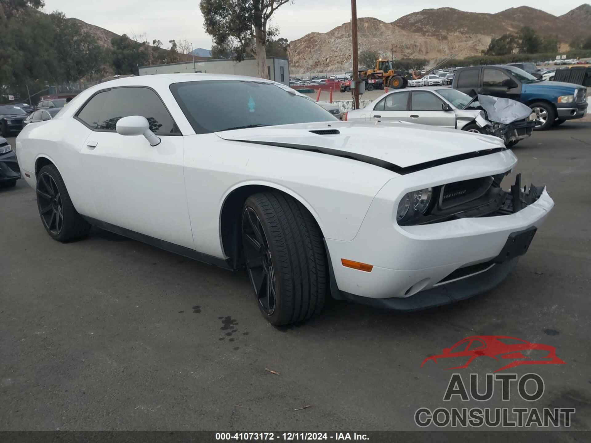 DODGE CHALLENGER 2013 - 2C3CDYAG9DH649717