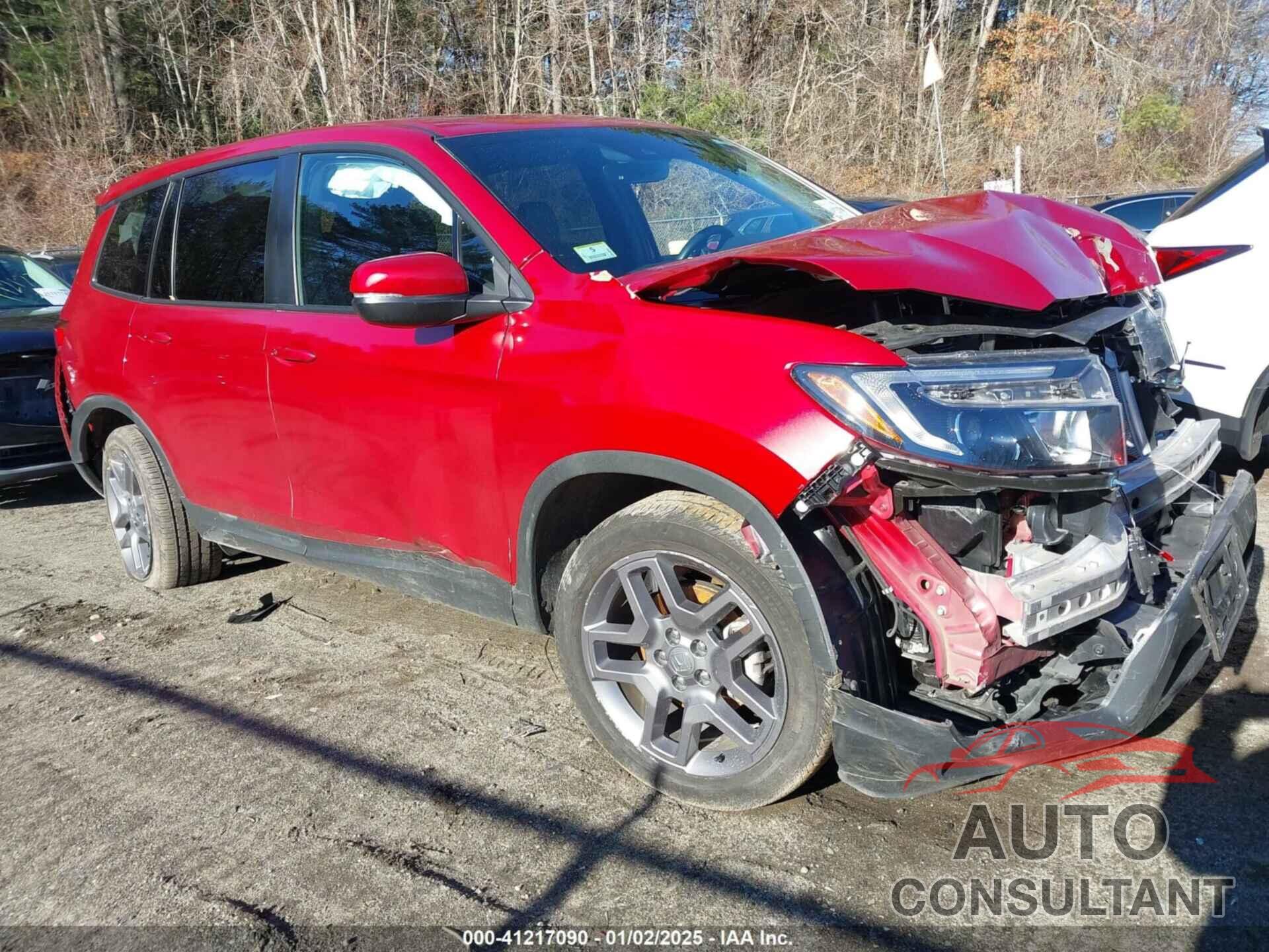 HONDA PASSPORT 2023 - 5FNYF8H50PB020065