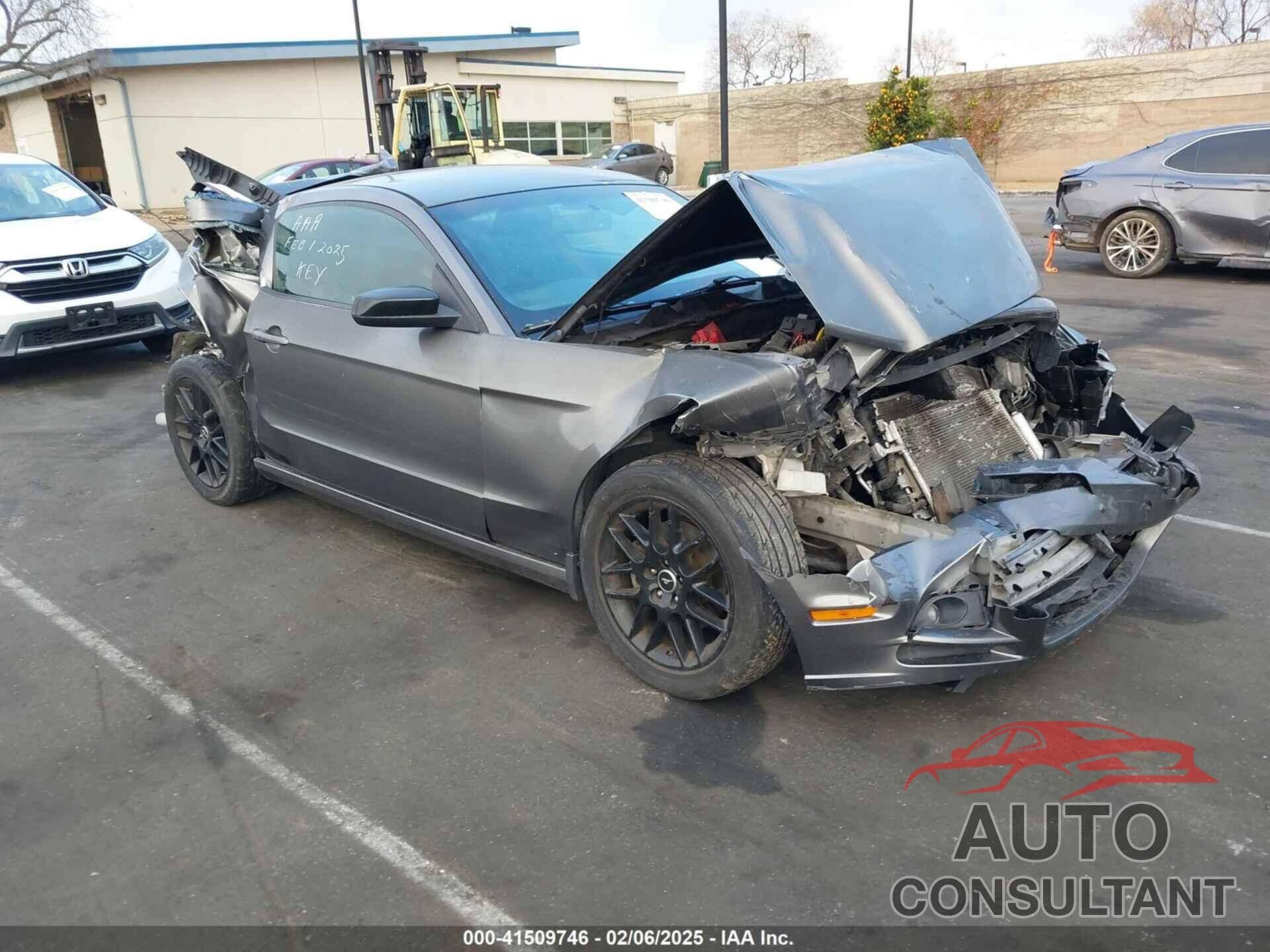 FORD MUSTANG 2014 - 1ZVBP8AM4E5329375