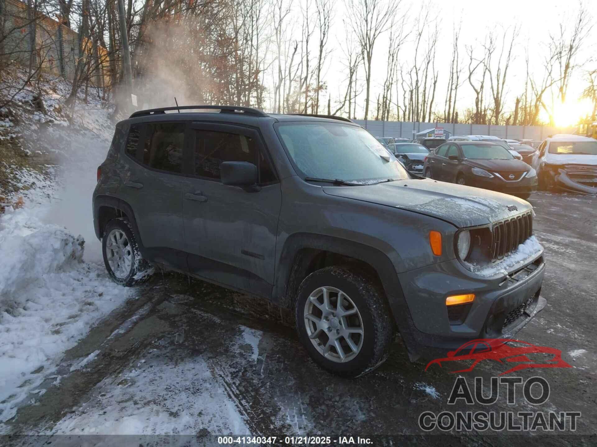 JEEP RENEGADE 2019 - ZACNJBAB8KPK50966