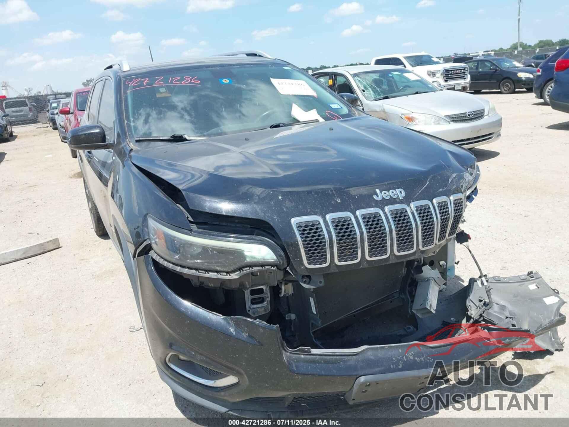 JEEP CHEROKEE 2019 - 1C4PJLDB6KD443774