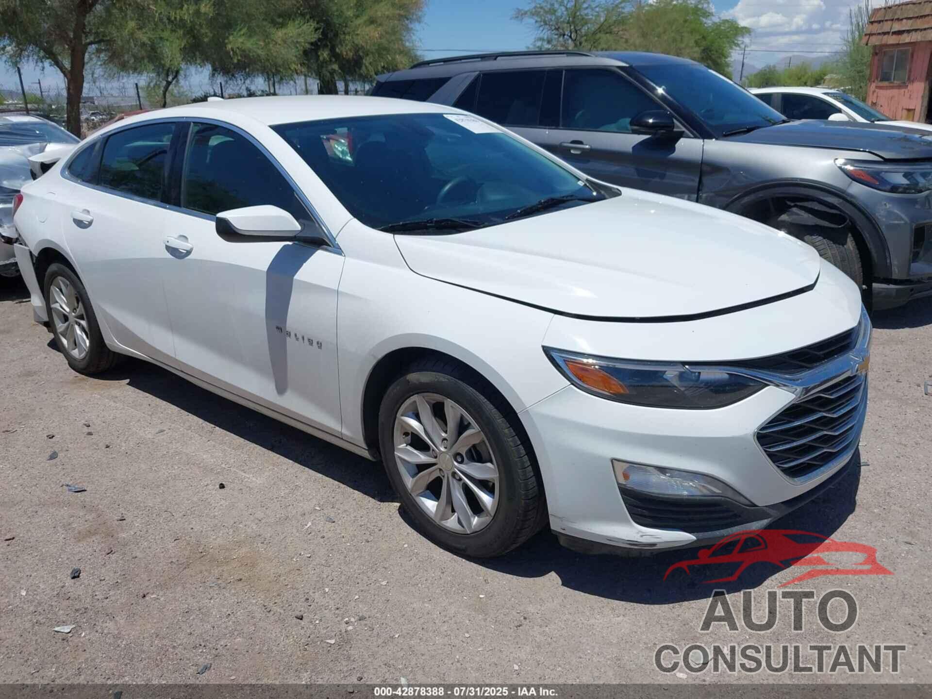 CHEVROLET MALIBU 2019 - 1G1ZD5ST6KF171750