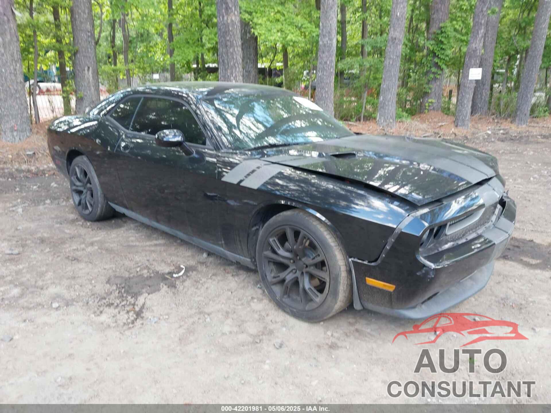 DODGE CHALLENGER 2013 - 2C3CDYAG2DH632743