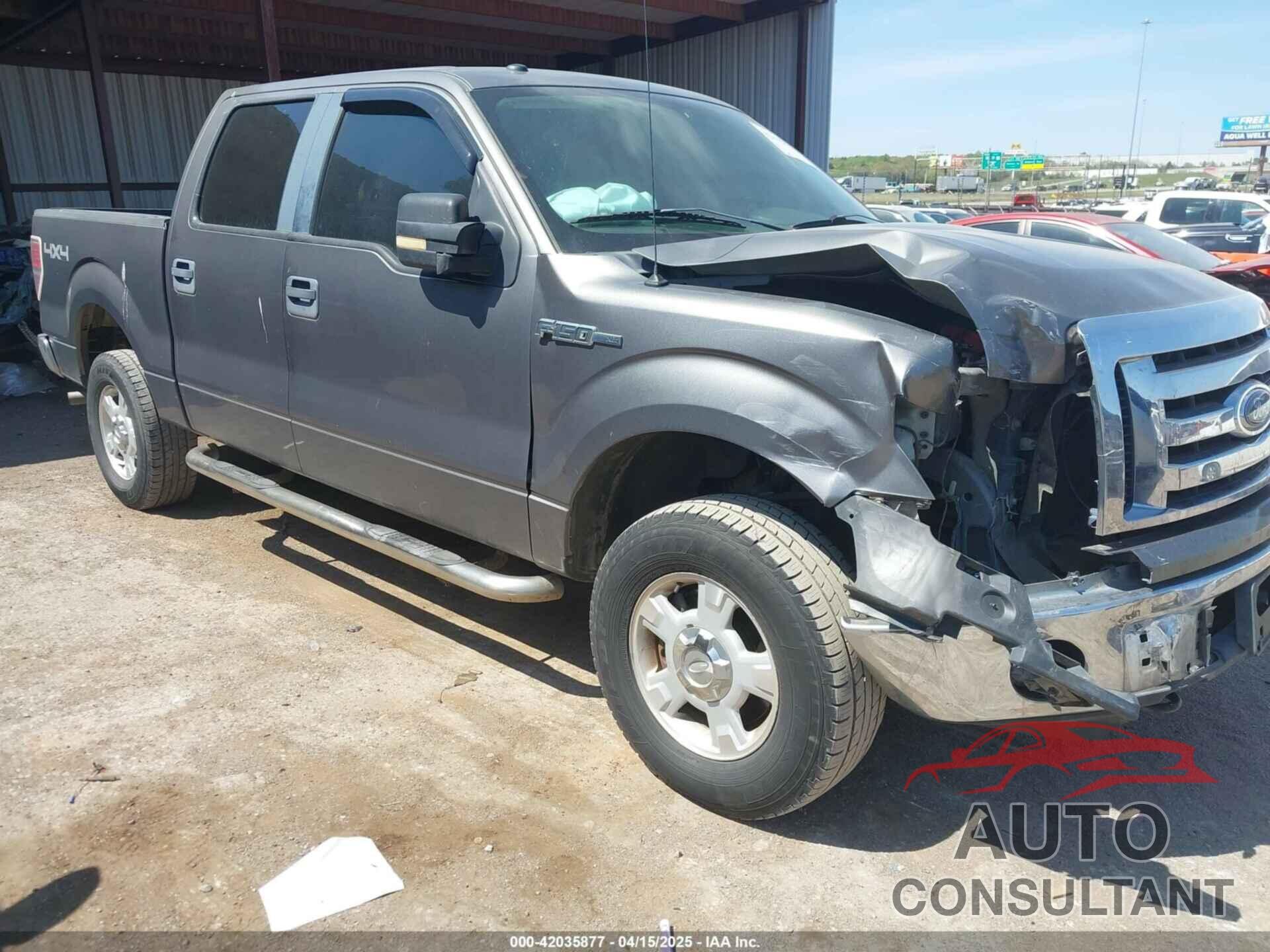 FORD F-150 2010 - 1FTEW1E87AFB92007