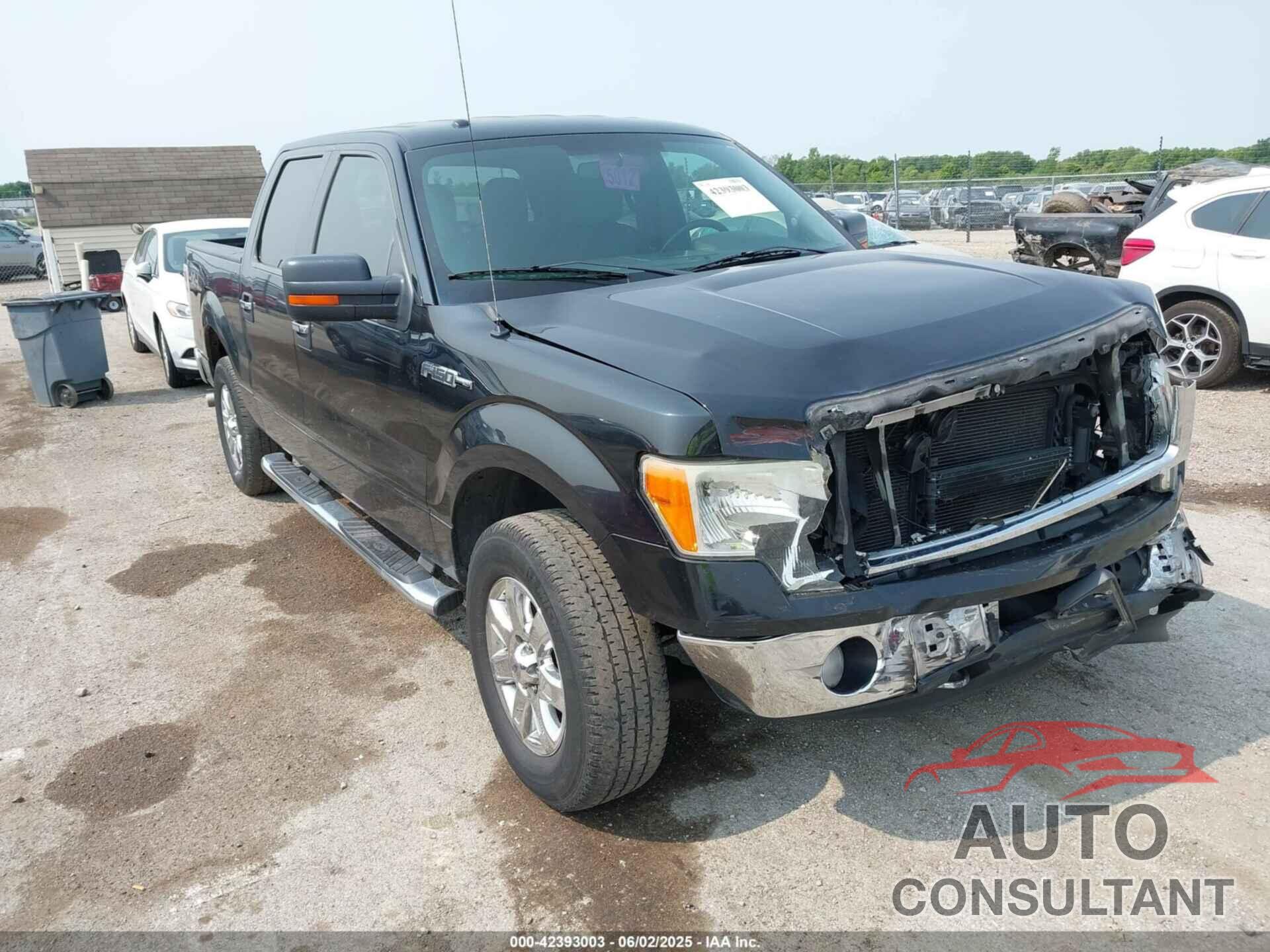 FORD F-150 2013 - 1FTFW1EF2DFB84419