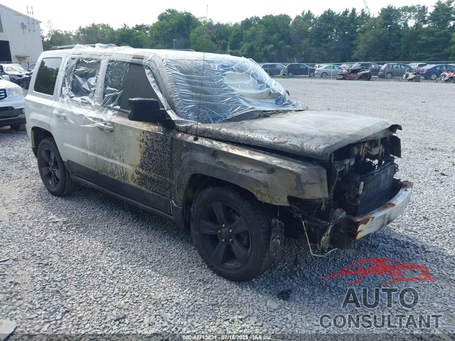 JEEP PATRIOT 2015 - 1C4NJRBB8FD312350