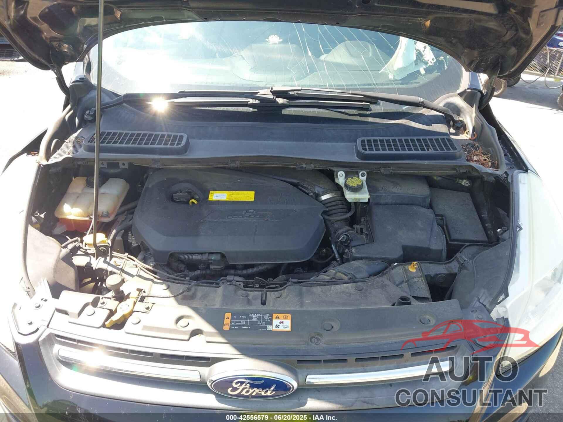 FORD ESCAPE 2016 - 1FMCU0GX3GUB31376