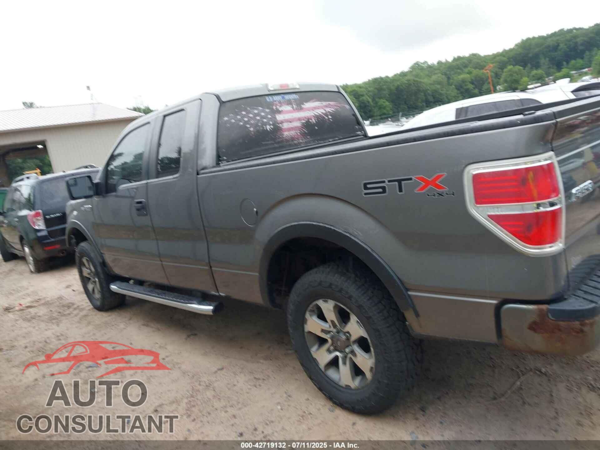 FORD F-150 2013 - 1FTFX1EF9DFB60308