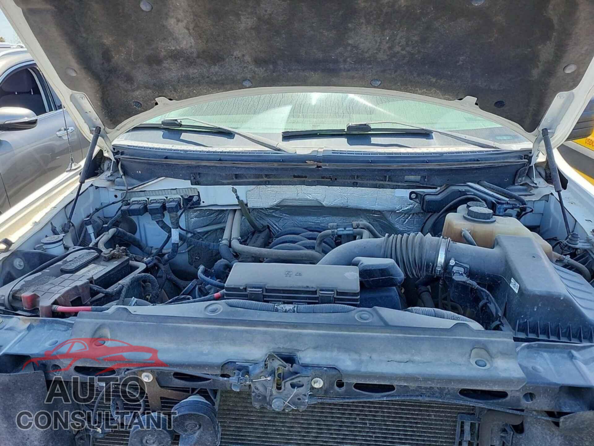 FORD F150 2013 - 1FTFX1EF3DFB24176