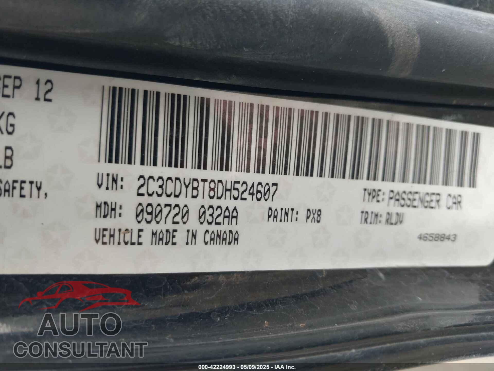 DODGE CHALLENGER 2013 - 2C3CDYBT8DH524607