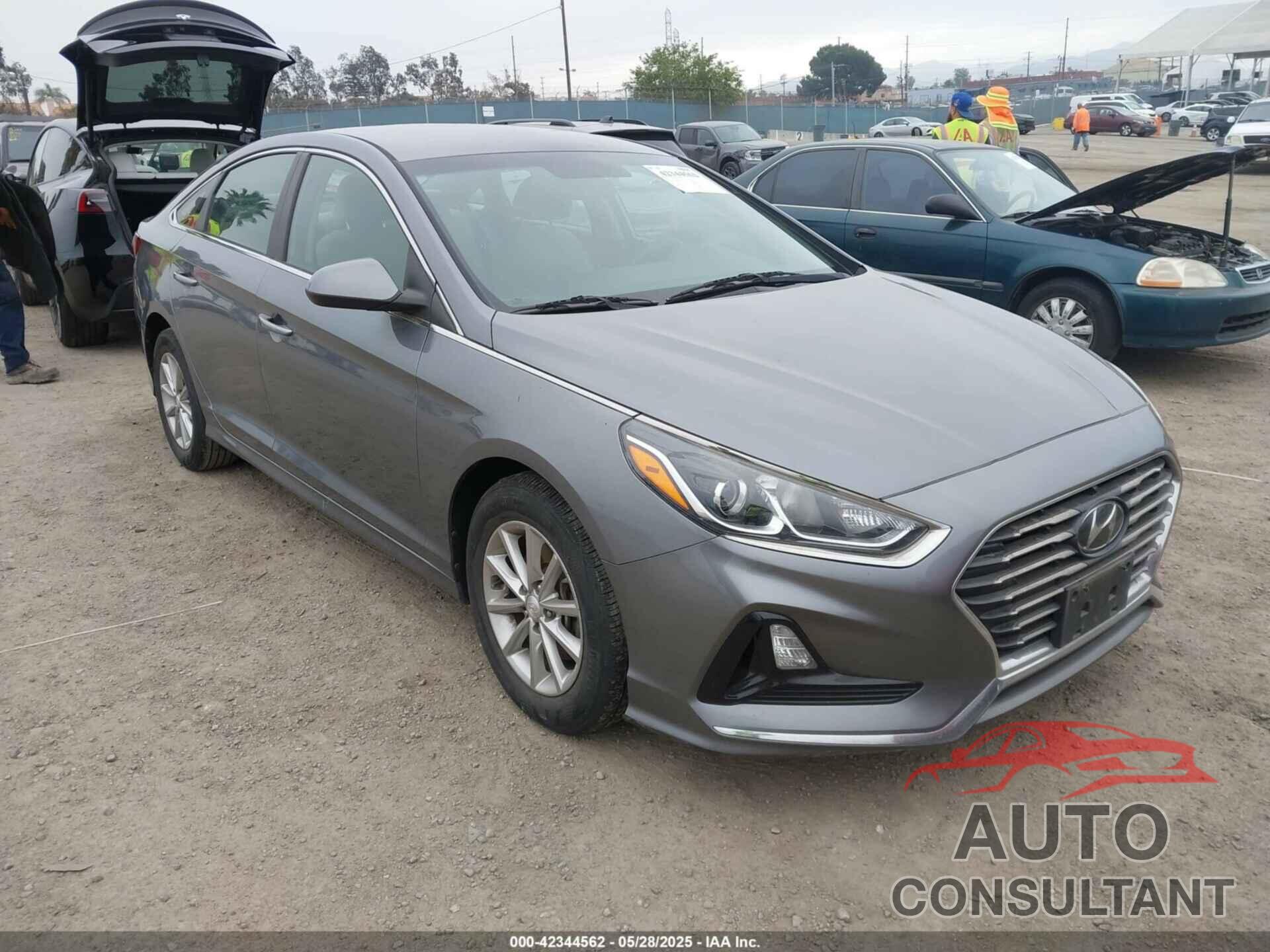 HYUNDAI SONATA 2019 - 5NPE24AF1KH758946