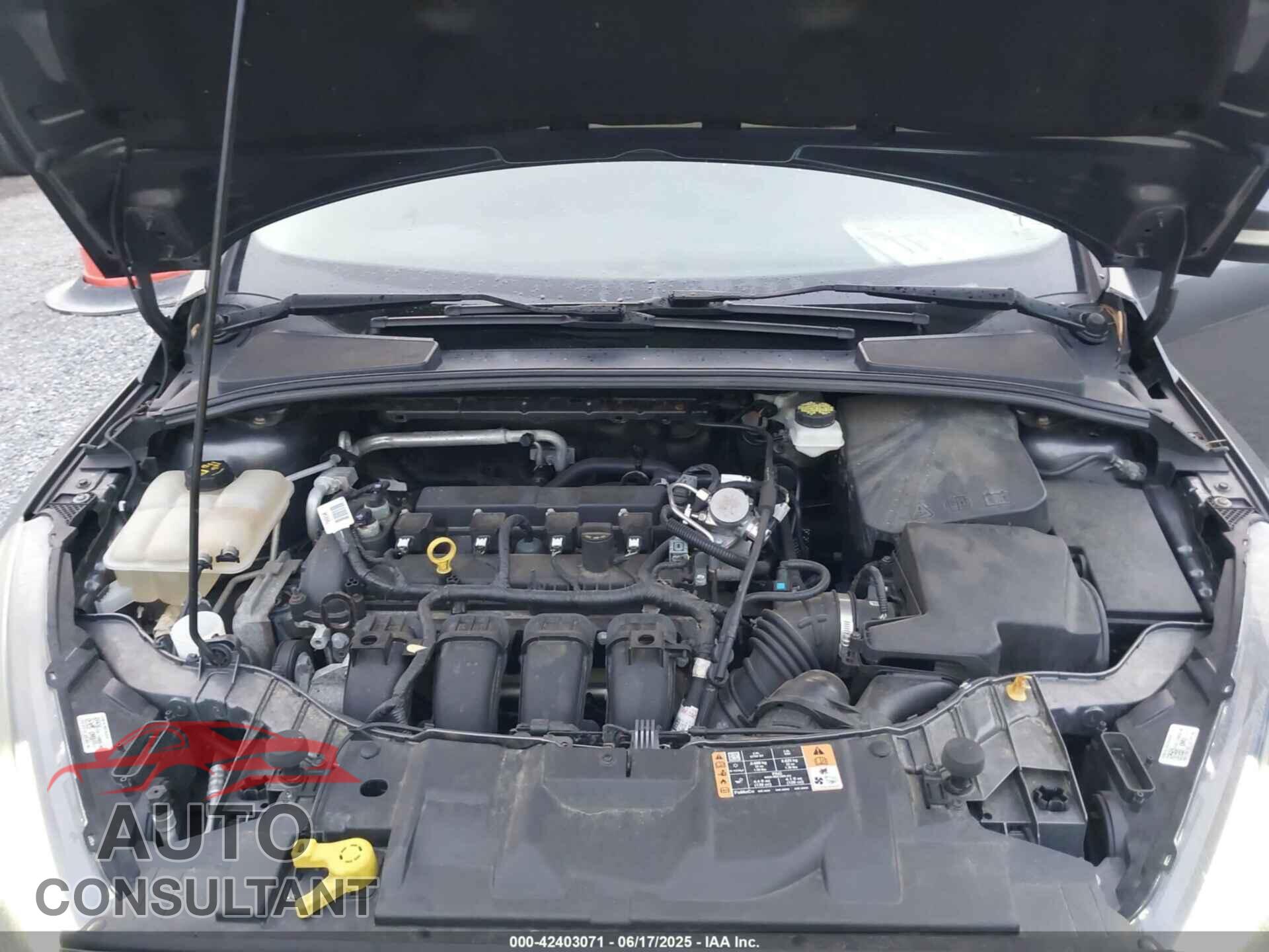 FORD FOCUS 2017 - 1FADP3H2XHL240533