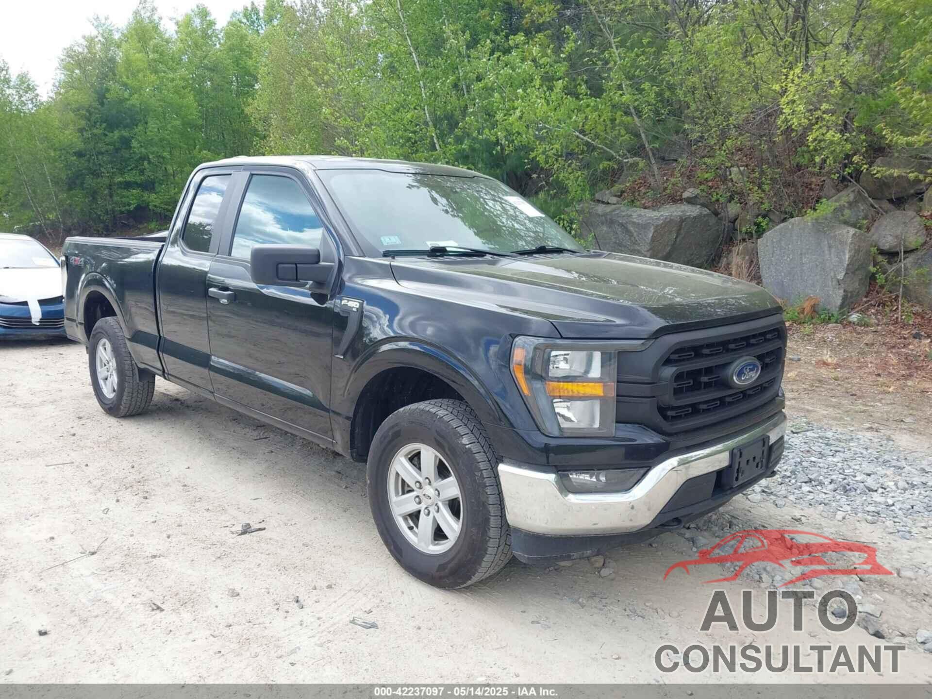 FORD F-150 2023 - 1FTEX1EP8PKD51248
