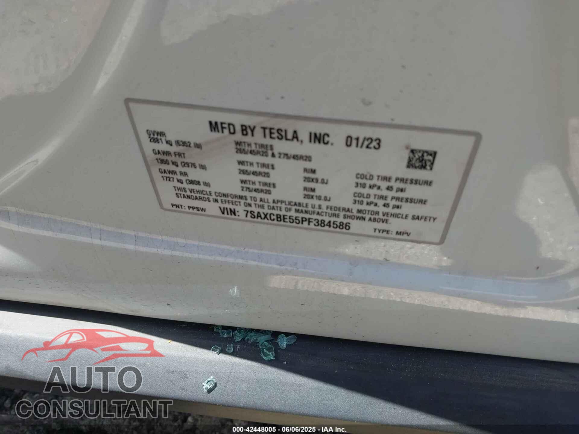 TESLA MODEL X 2023 - 7SAXCBE55PF384586