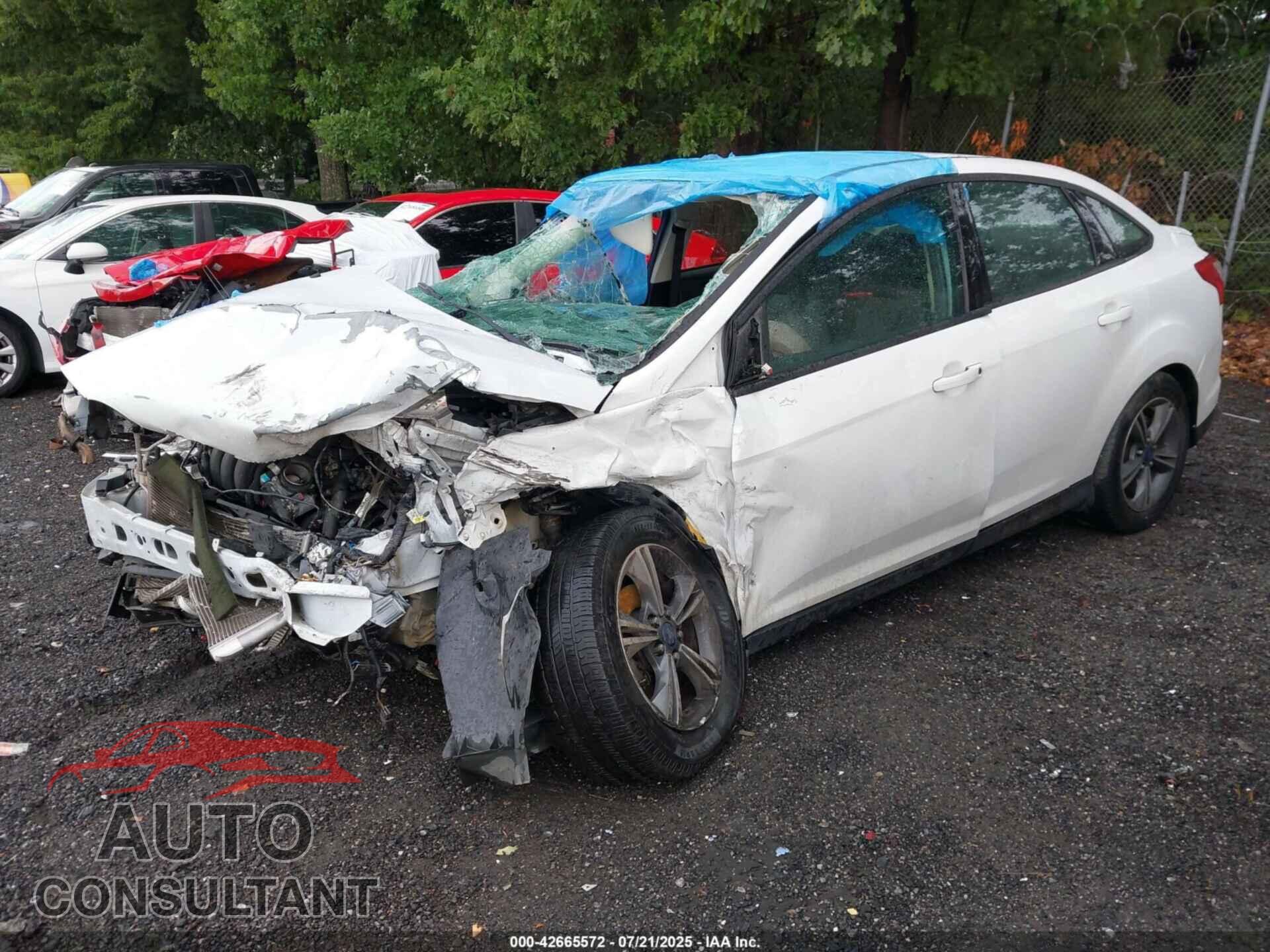 FORD FOCUS 2014 - 1FADP3F25EL203131