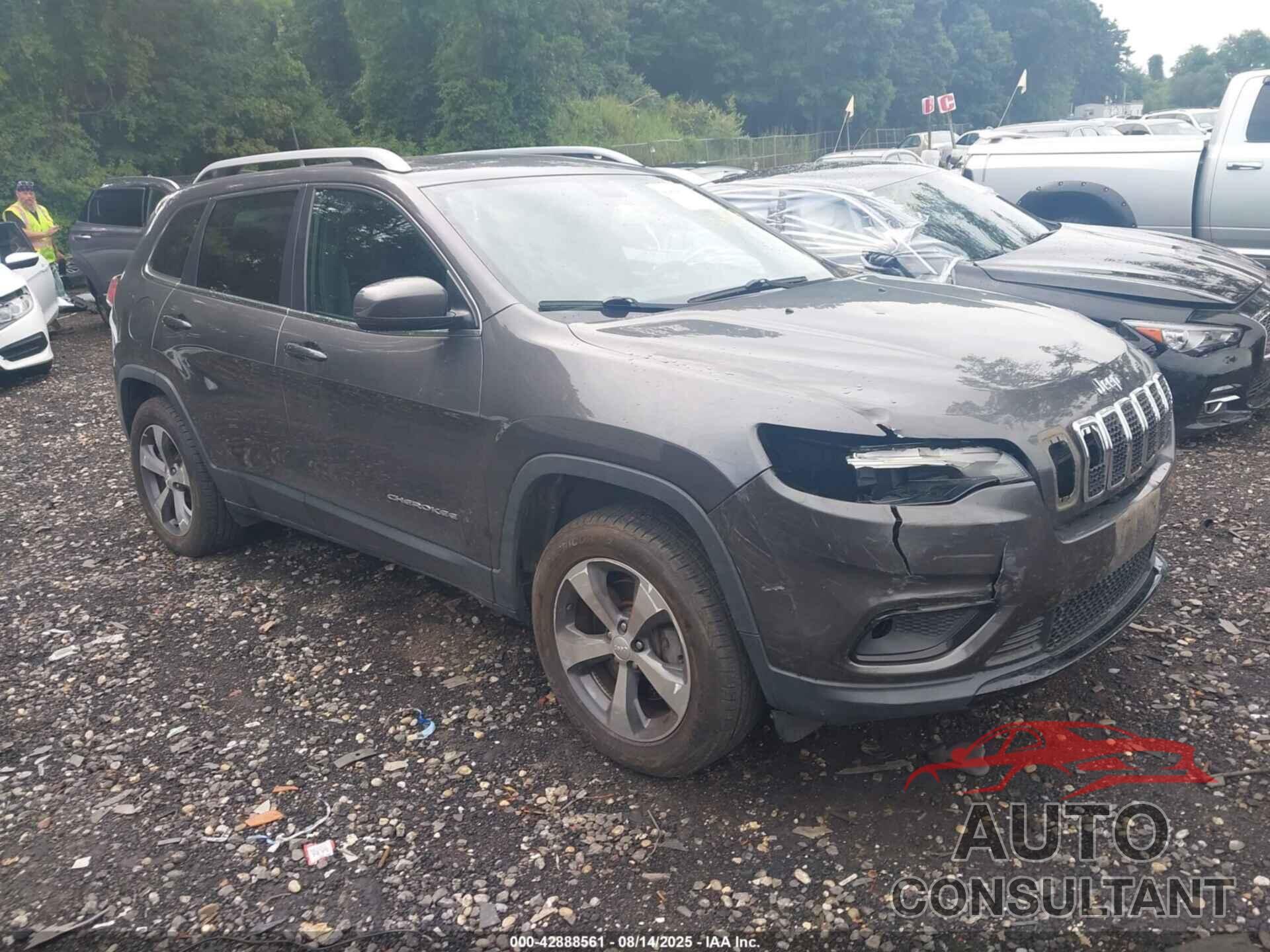JEEP CHEROKEE 2019 - 1C4PJMDX6KD351114