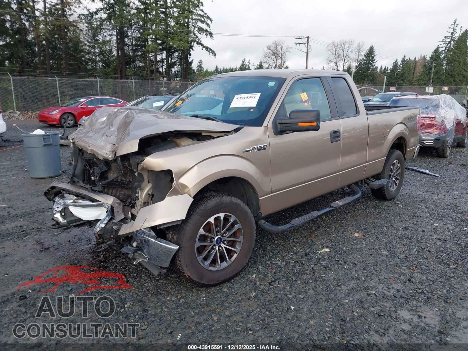 FORD F-150 2013 - 1FTFX1EF7DFC28122