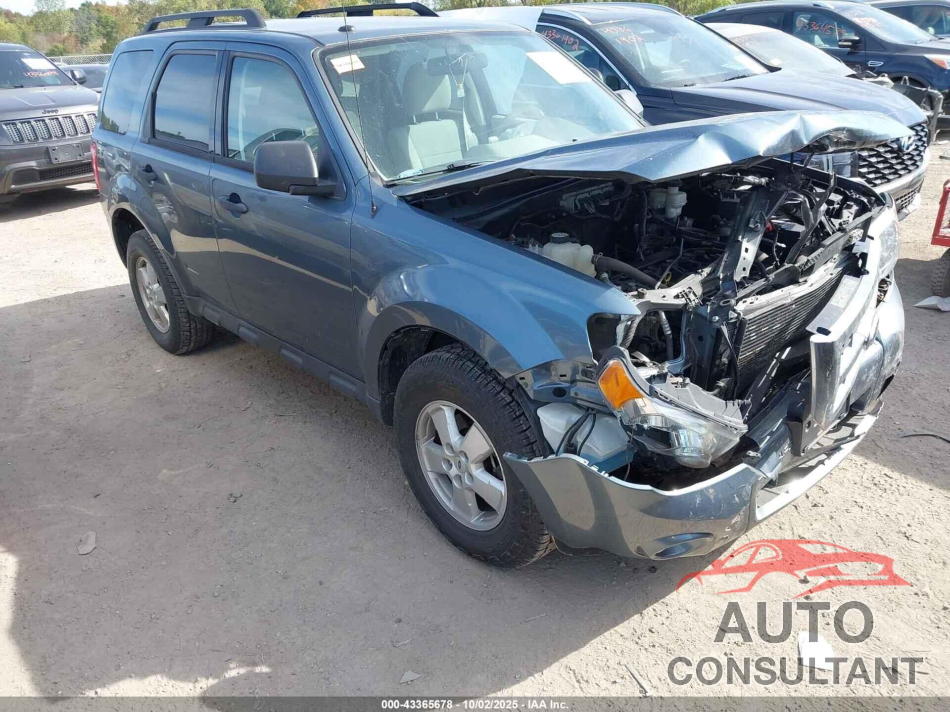 FORD ESCAPE 2010 - 1FMCU0D79AKB95770