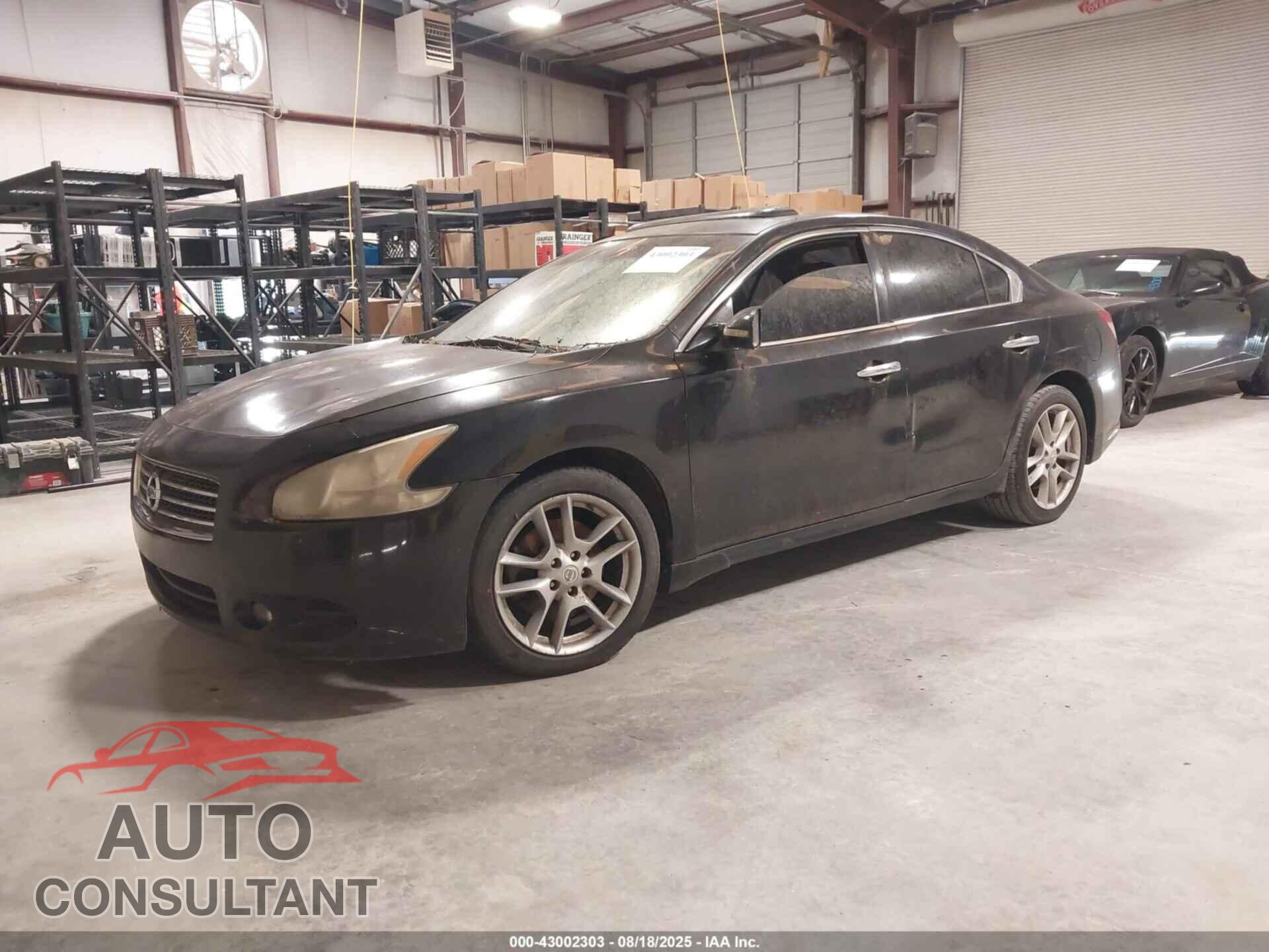 NISSAN MAXIMA 2011 - 1N4AA5AP3BC823913