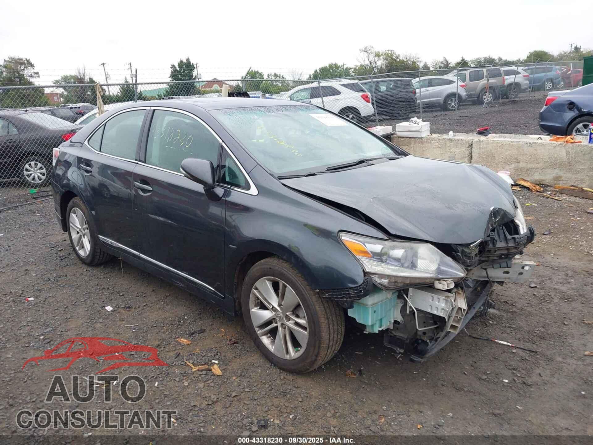 LEXUS HS 250H 2010 - JTHBB1BA9A2028124