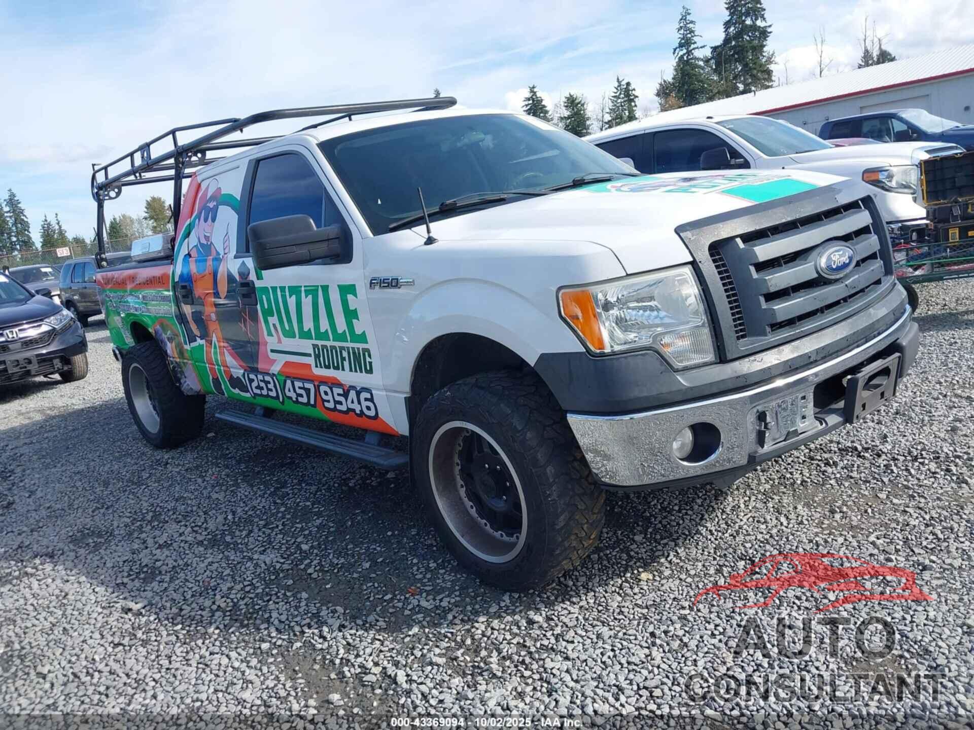 FORD F-150 2010 - 1FTEW1CWXAFA94025