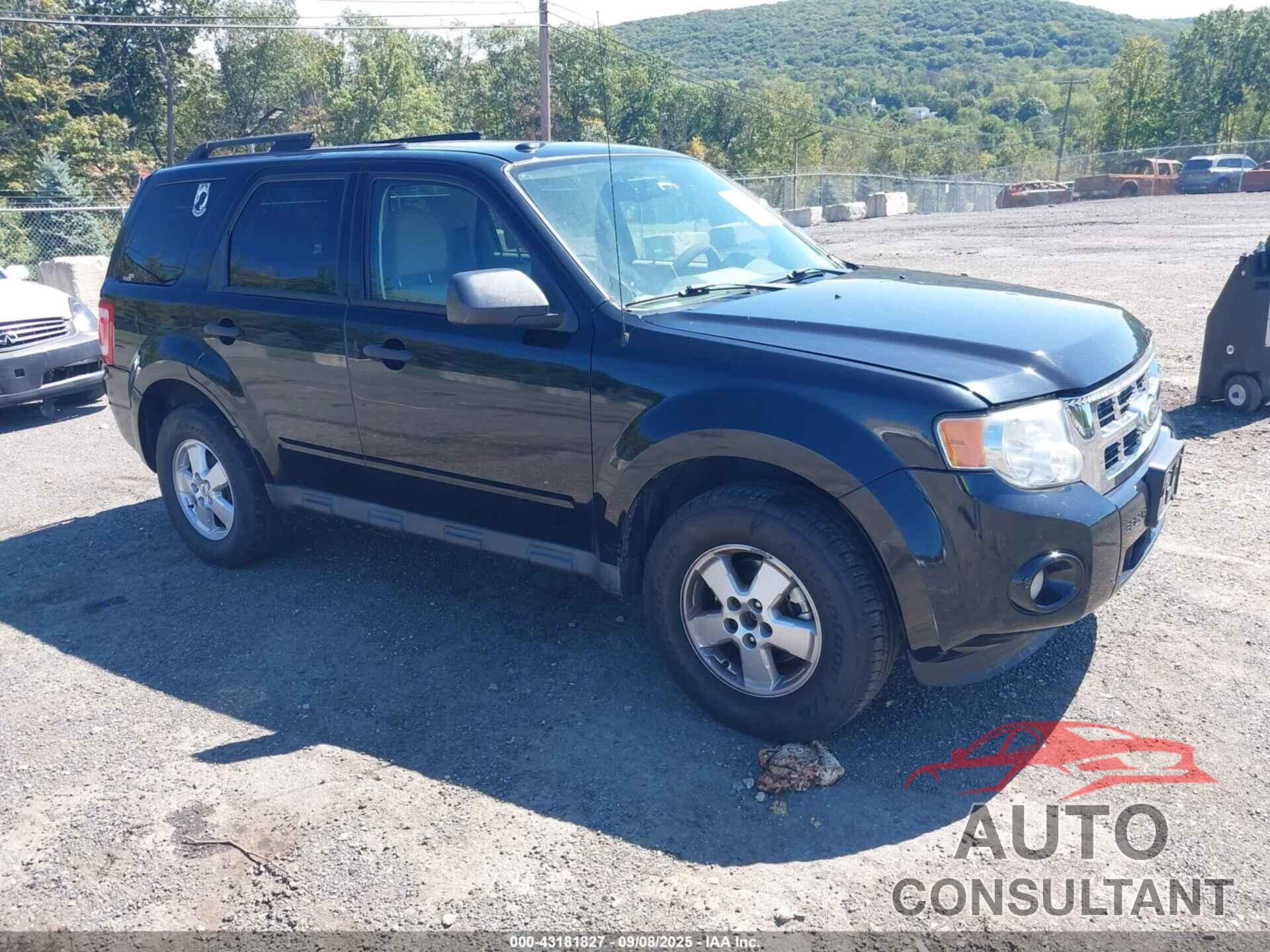 FORD ESCAPE 2010 - 1FMCU9DG5AKC68993