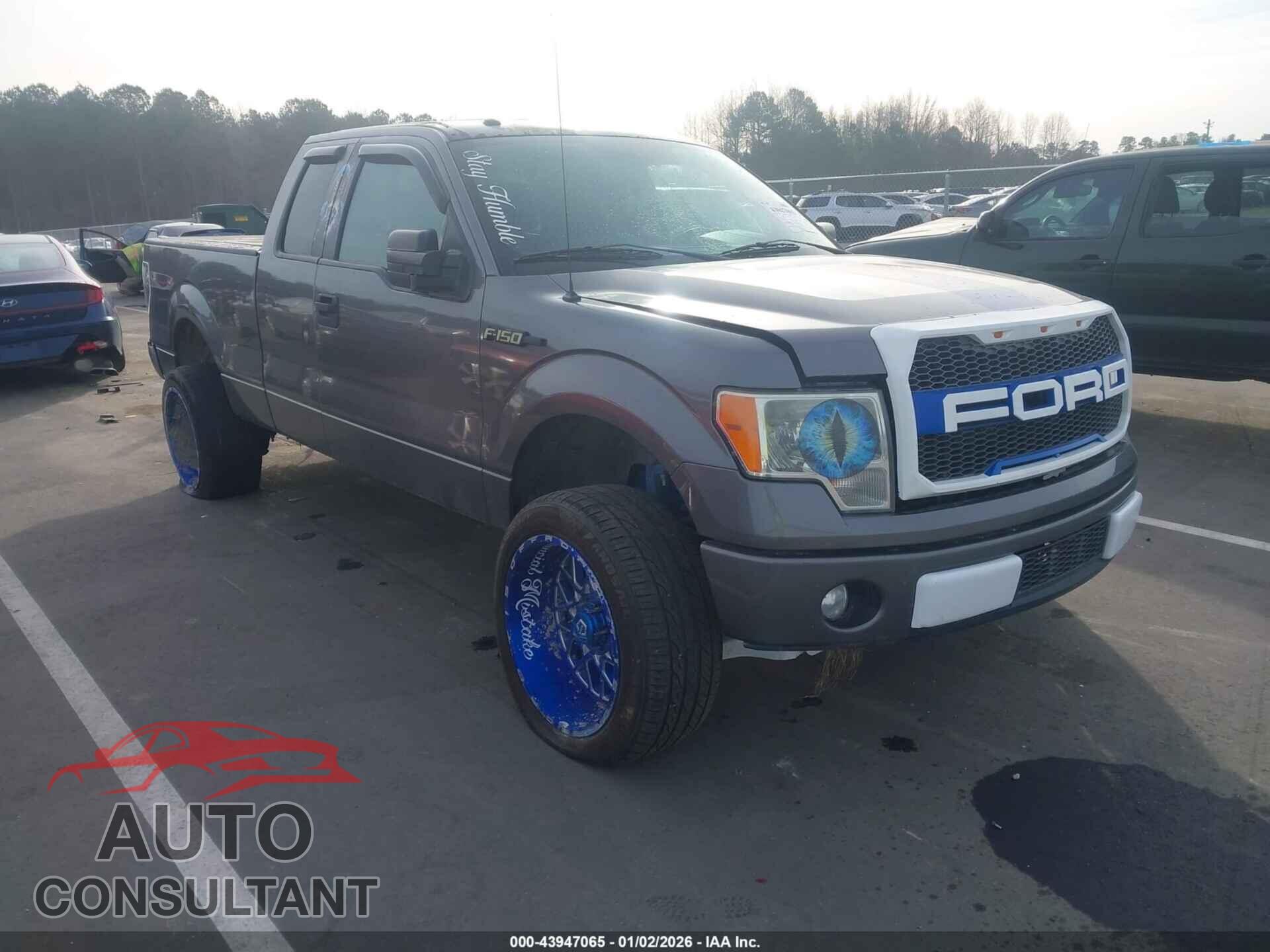 FORD F-150 2013 - 1FTFX1CF8DFC56885