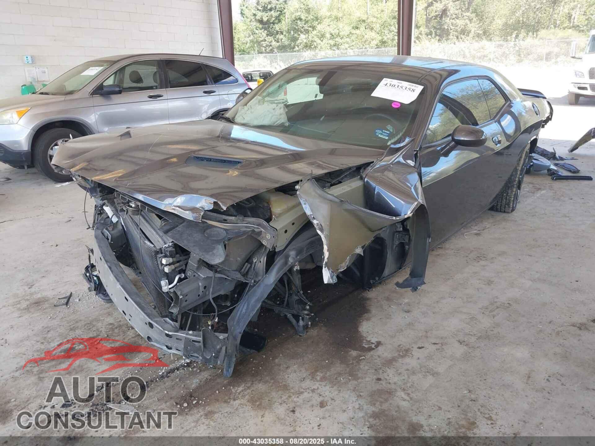 DODGE CHALLENGER 2019 - 2C3CDZAG0KH636244