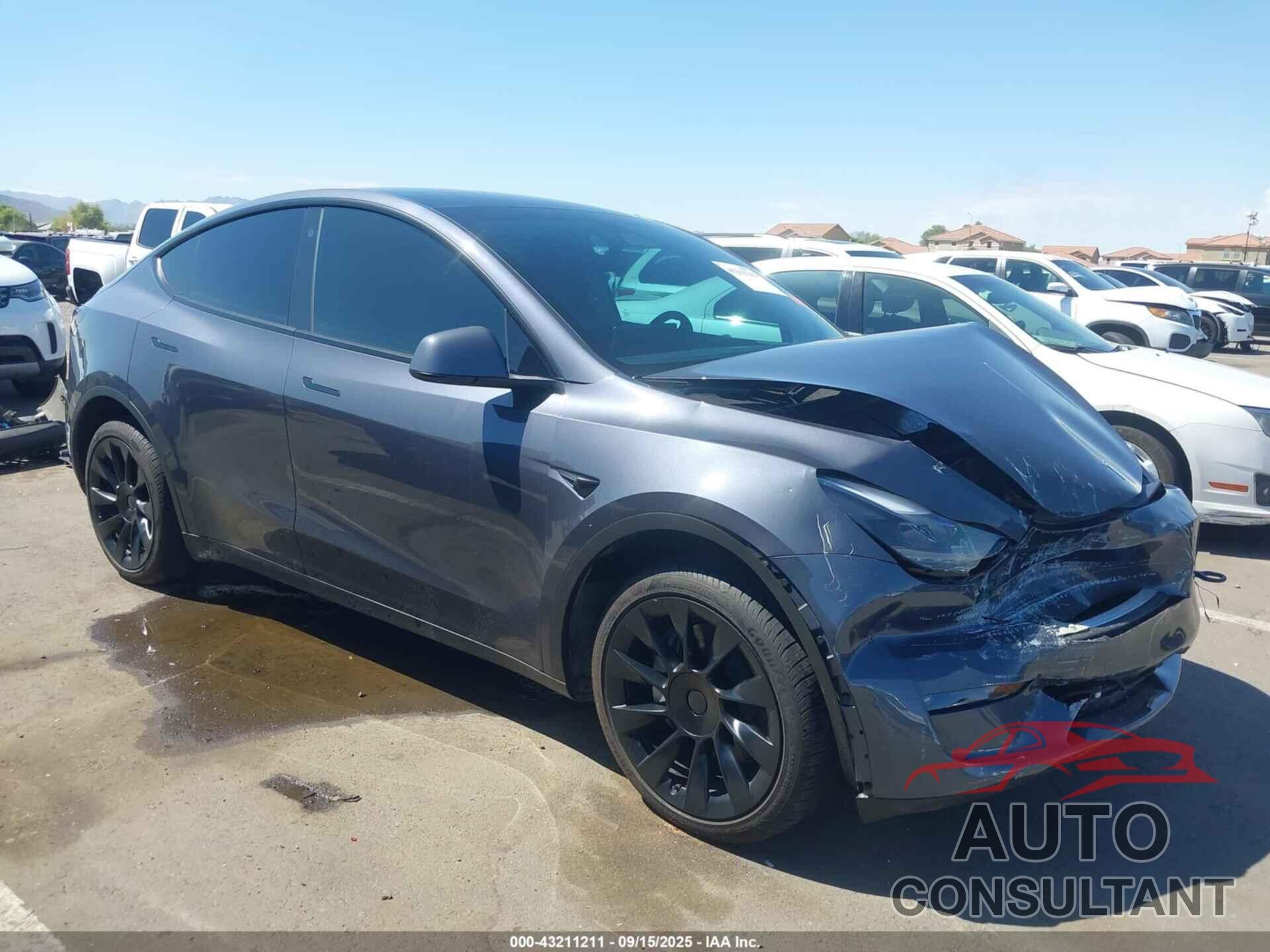 TESLA MODEL Y 2023 - 7SAYGDEE6PF606184