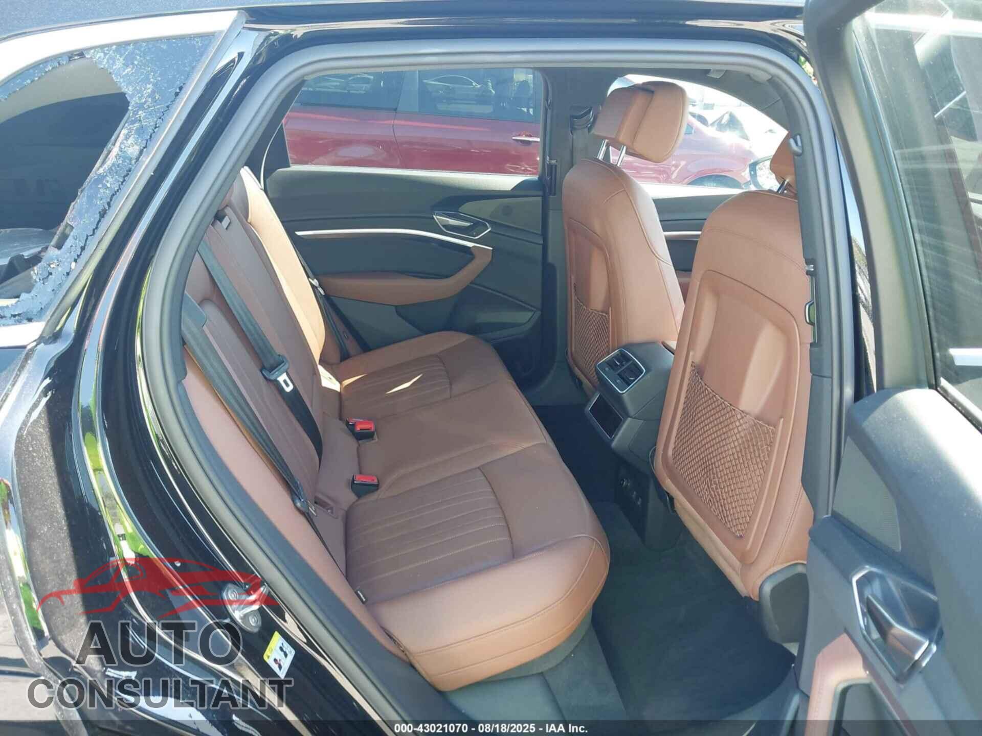 AUDI E-TRON 2019 - WA1LABGE4KB021247