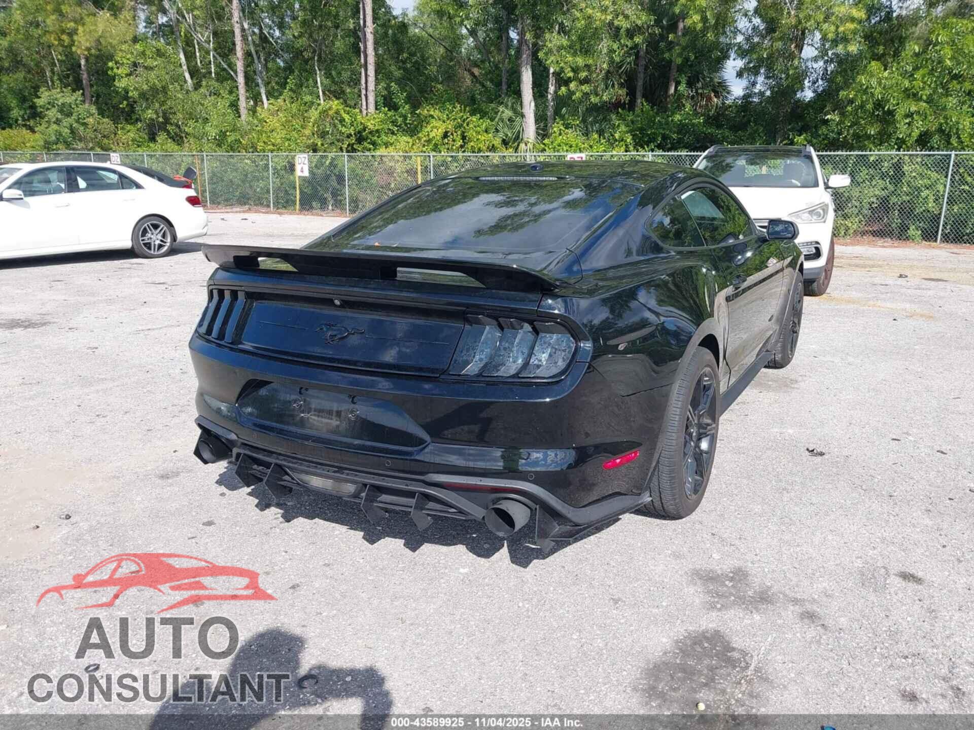 FORD MUSTANG 2019 - 1FA6P8TH5K5129028