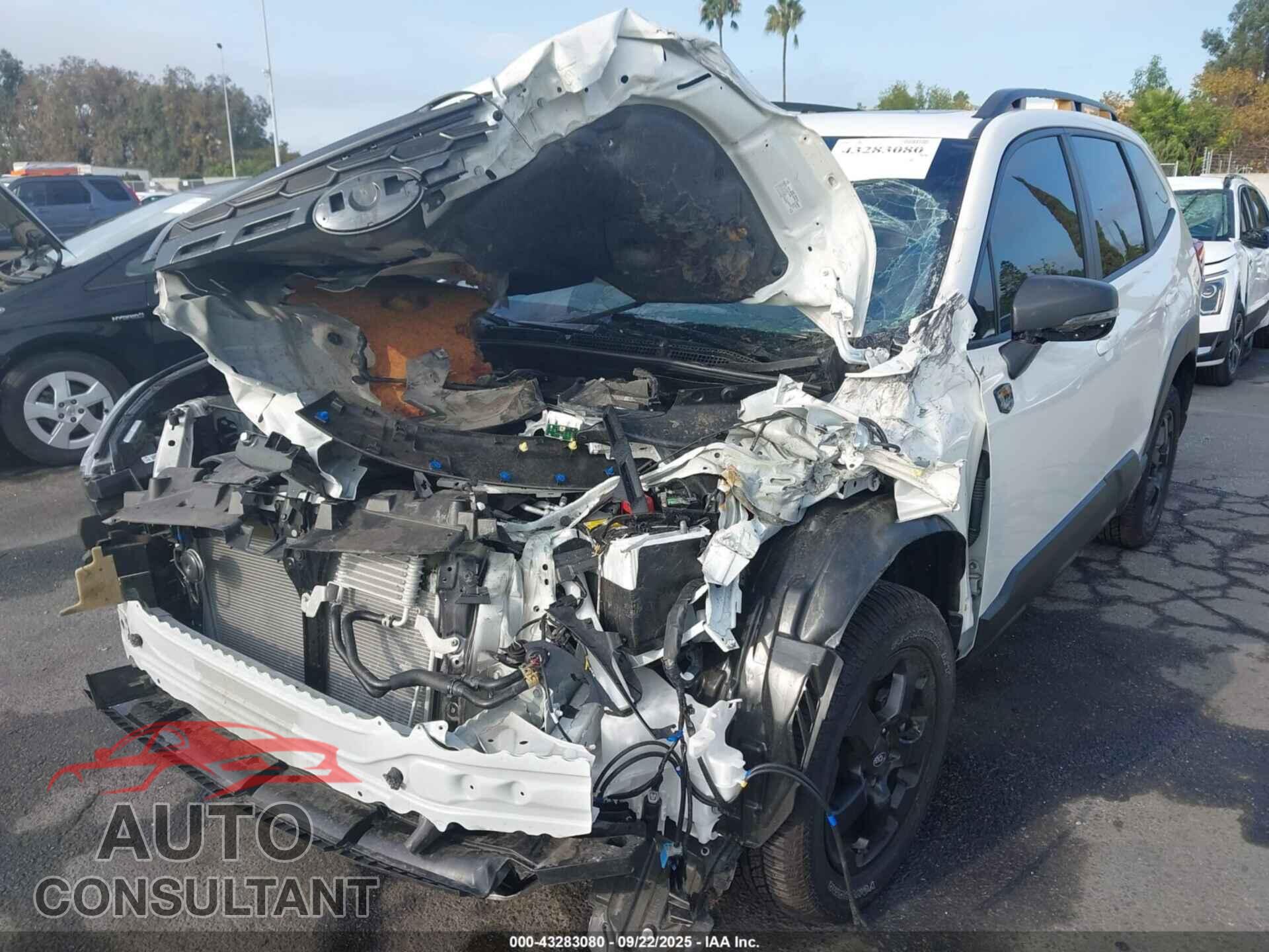 SUBARU FORESTER 2024 - JF2SKAHC0RH527768