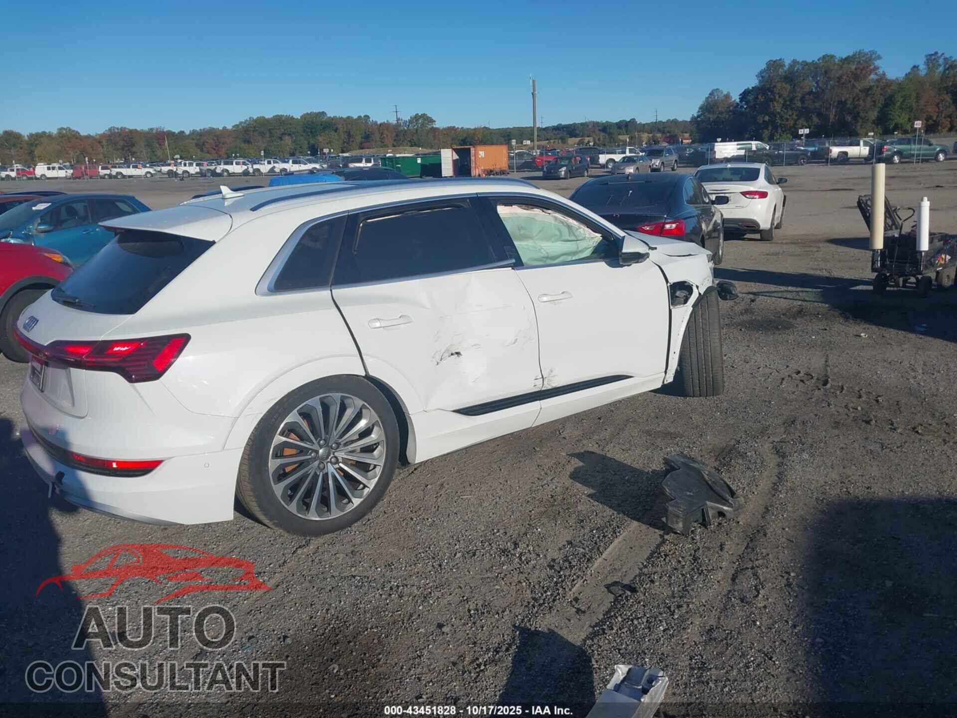 AUDI E-TRON 2019 - WA1VABGE7KB020781