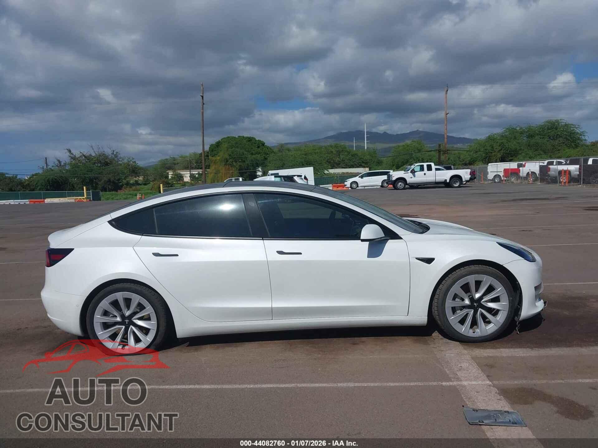 TESLA MODEL 3 2021 - 5YJ3E1EA1MF048801