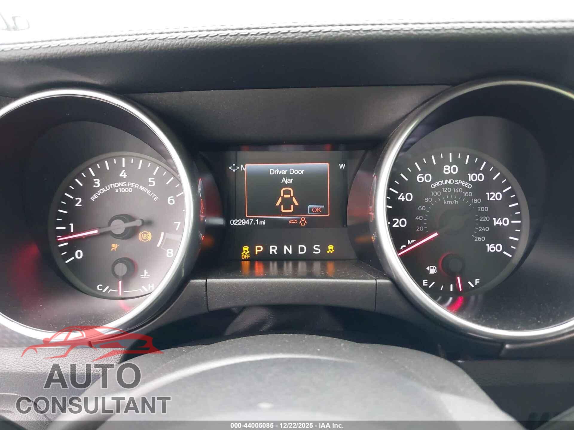 FORD MUSTANG 2019 - 1FA6P8CF8K5122962