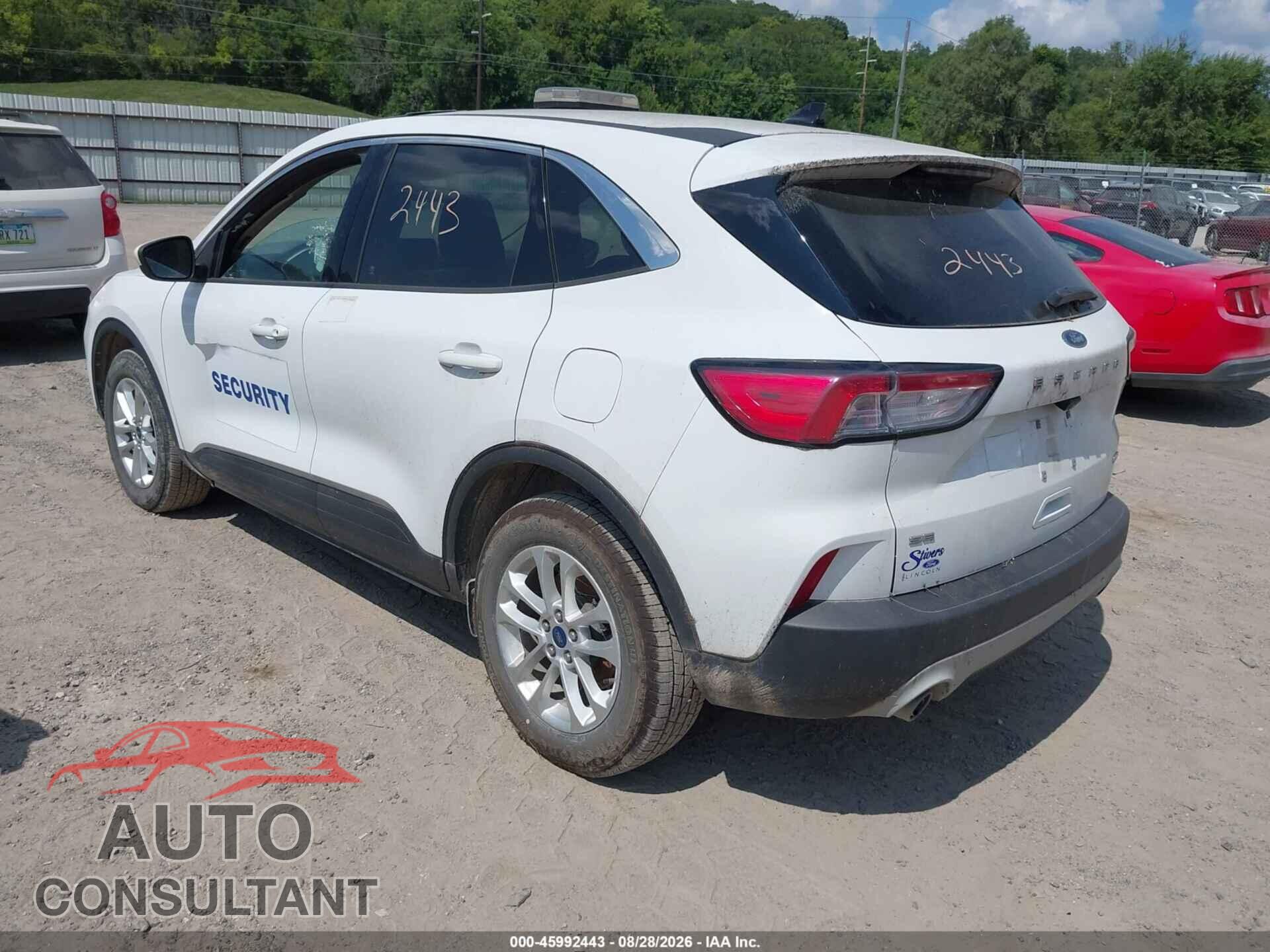 FORD ESCAPE 2020 - 1FMCU9G65LUA86236
