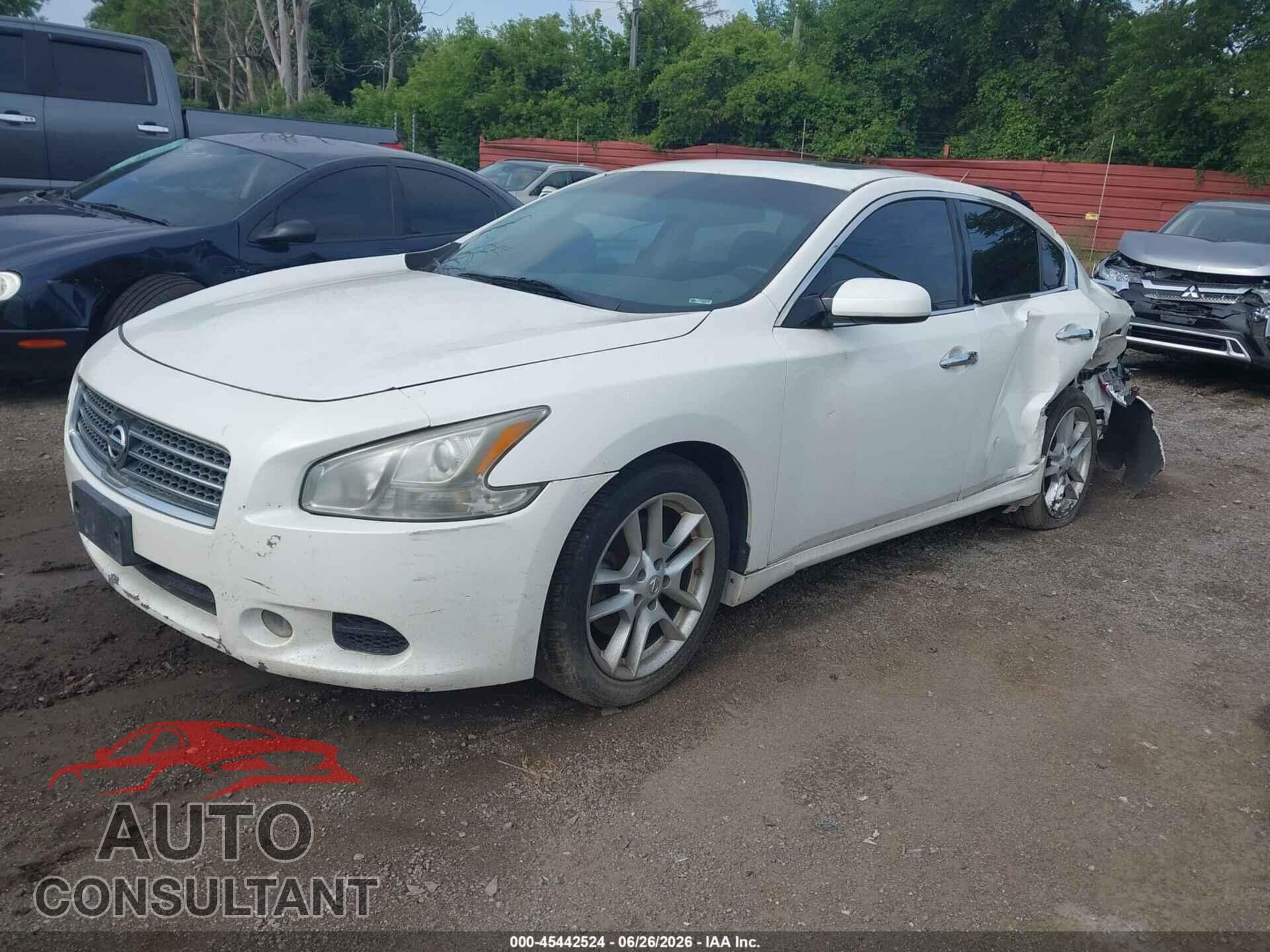 NISSAN MAXIMA 2011 - 1N4AA5AP1BC851645
