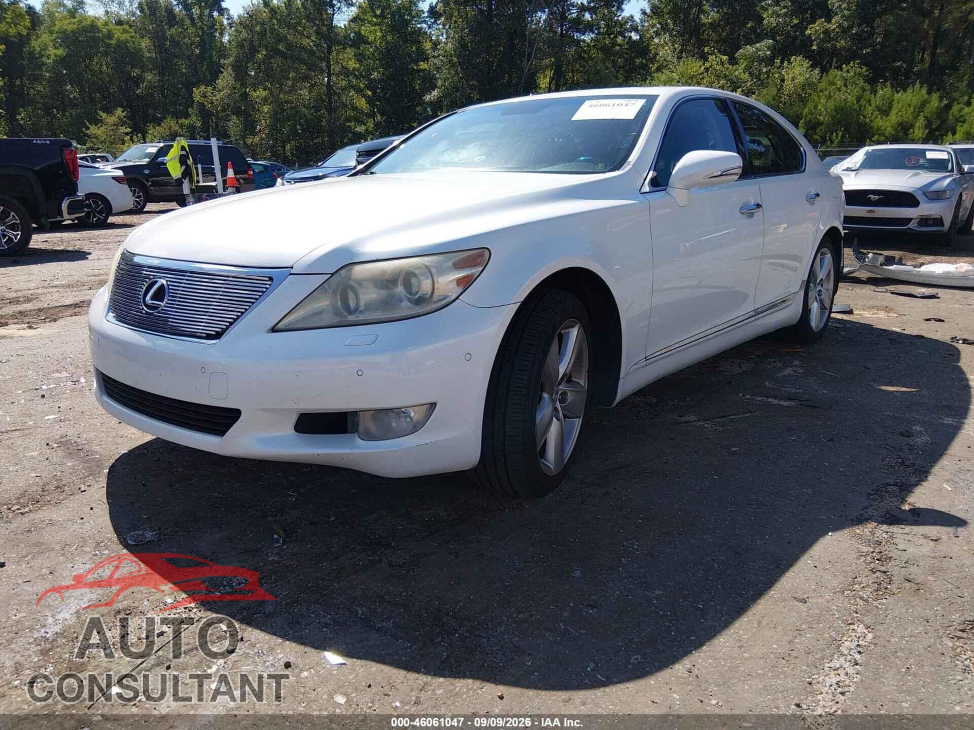 LEXUS LS 460 2011 - JTHBL5EF4B5104733